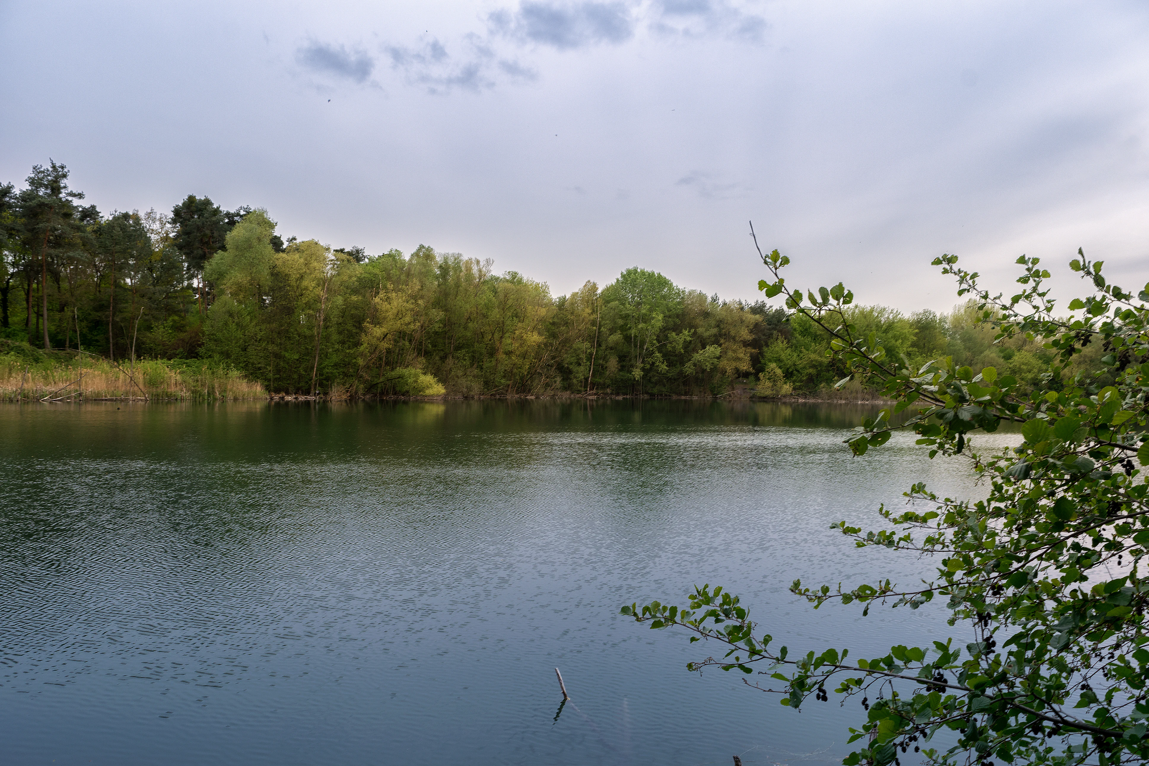 A calm, dark lake surface framed by trees and foliage under a cloudy sky.