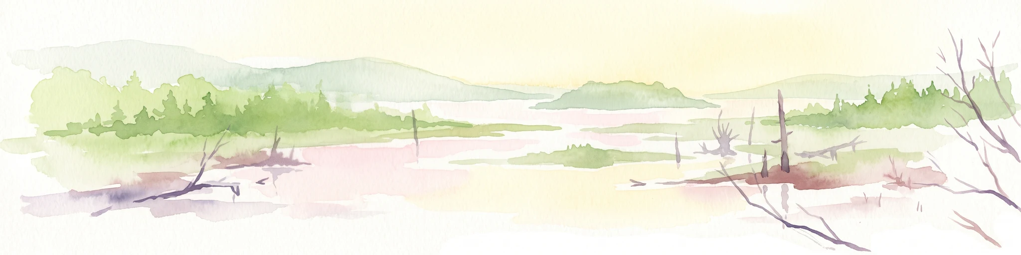 Watercolor painting of a tranquil marshy wetland with calm water, sparse dead trees, and distant hills under a light, hazy sky.