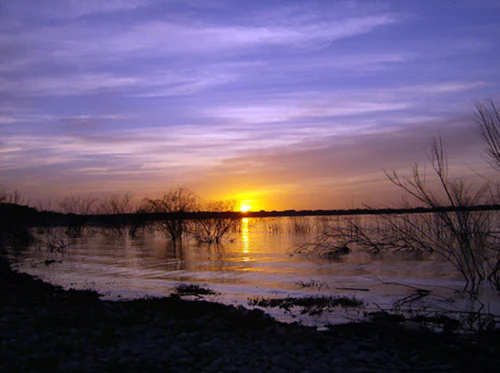A sunset view over the still, reflective water of a large lake with bare trees partially submerged in the reservoir under a purple and orange sky.
