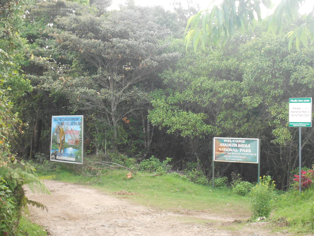 Dirt road leading to forested area with two park signs: a welcome sign and an informational sign