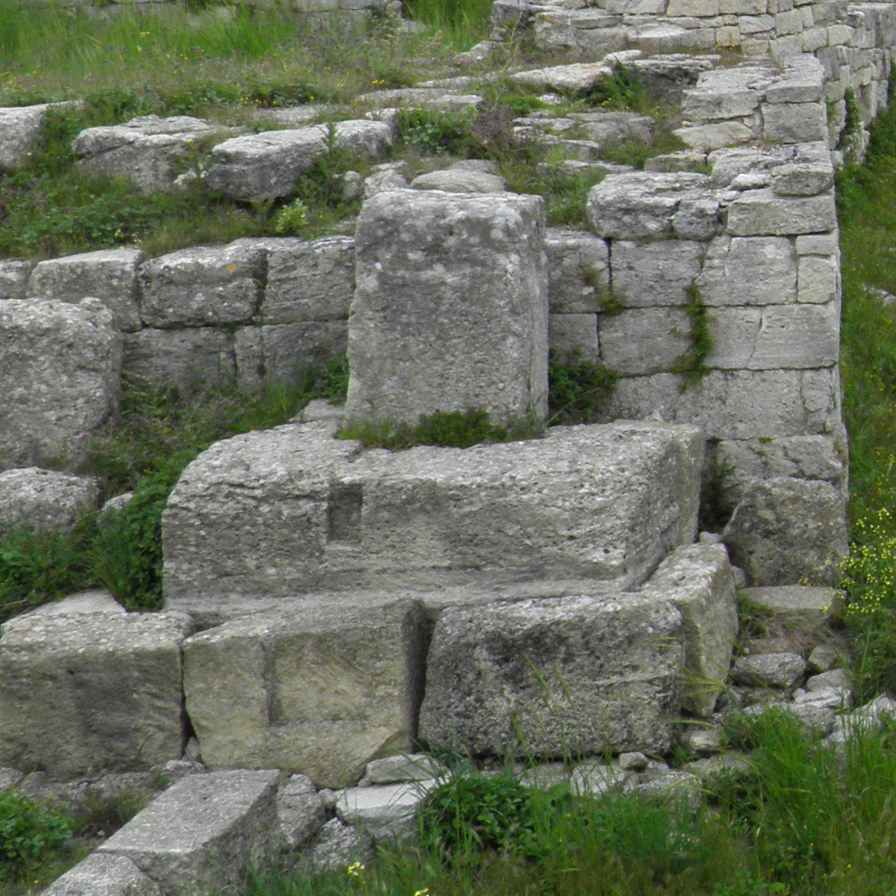 Stone ruins with a central pillar and overgrown grass, part of the archaeological site of Troy