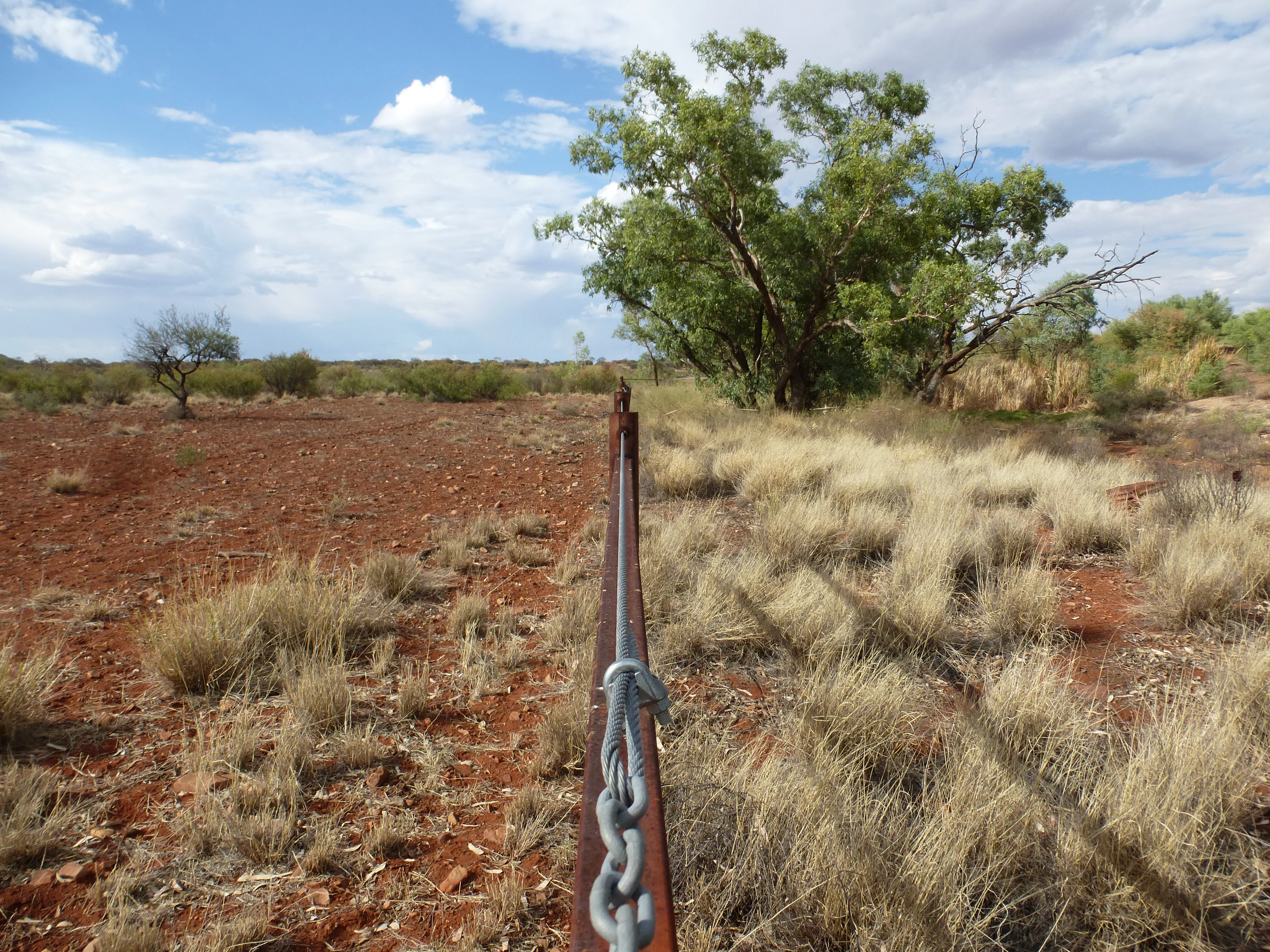 A wire fence runs into the distance, separating a sparsely vegetated, reddish-brown dirt area on the left from a more densely vegetated, grassy area on the right.