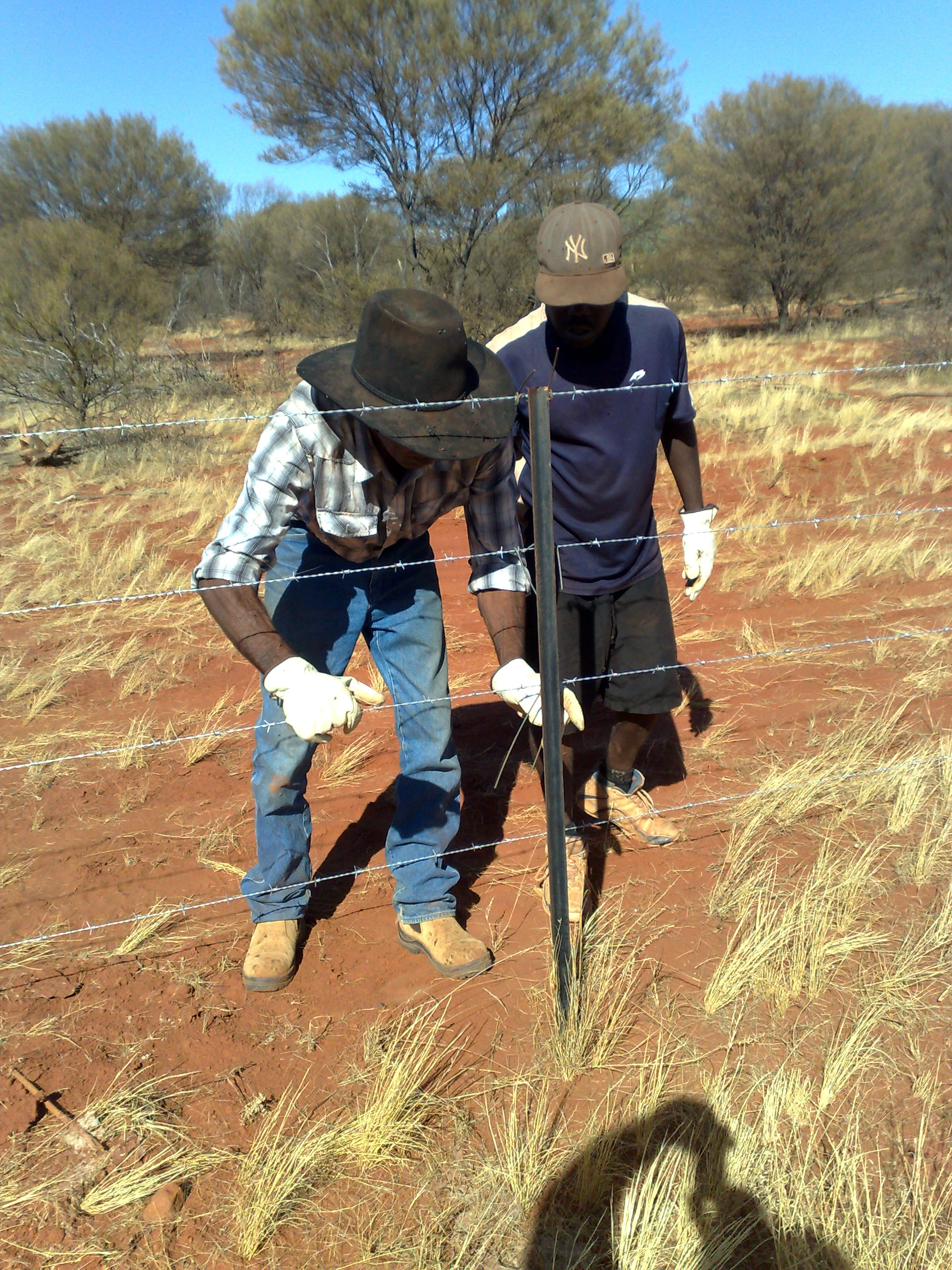 Angas Downs rangers building fencing