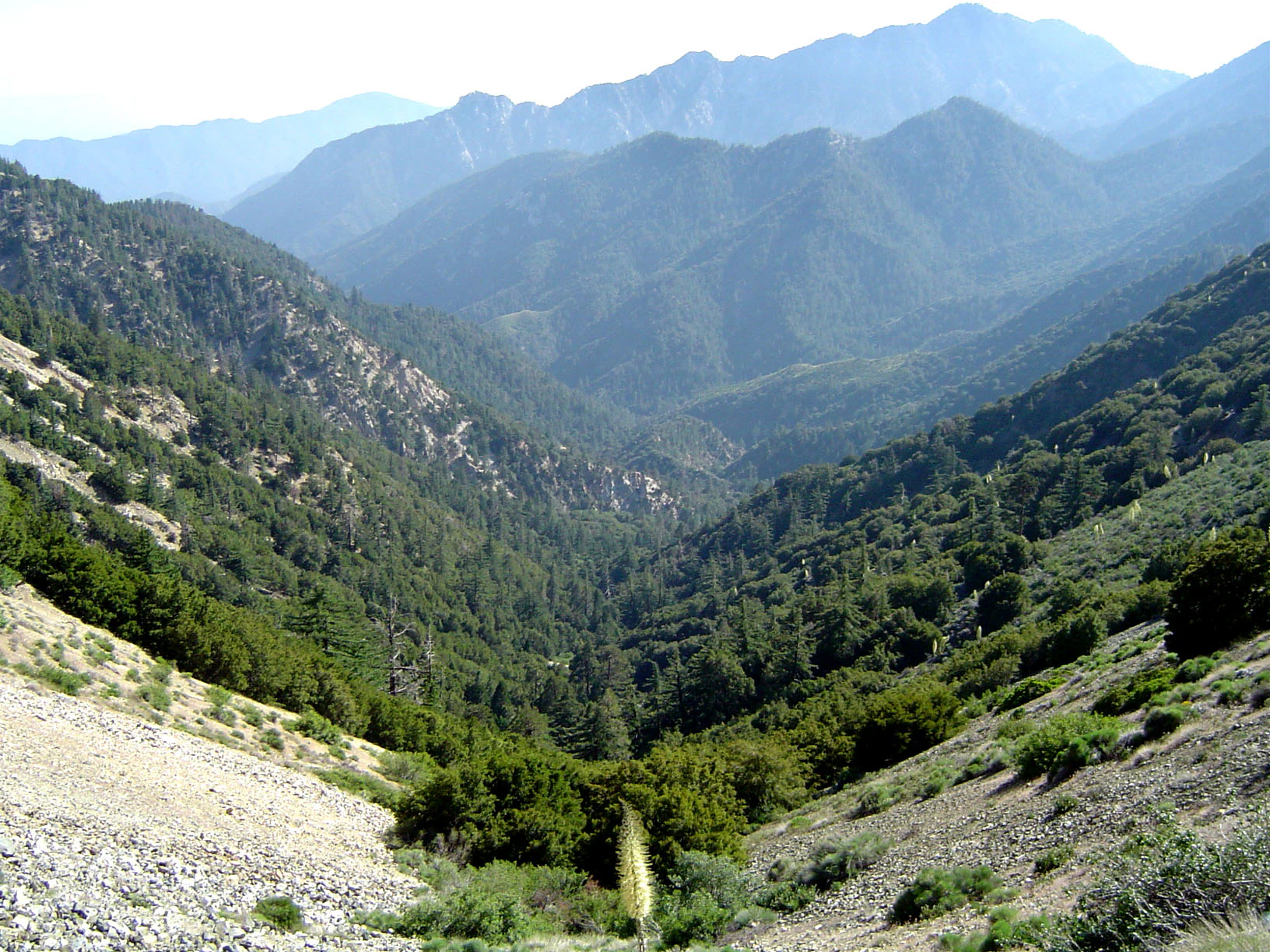 San Gabriel Mountains