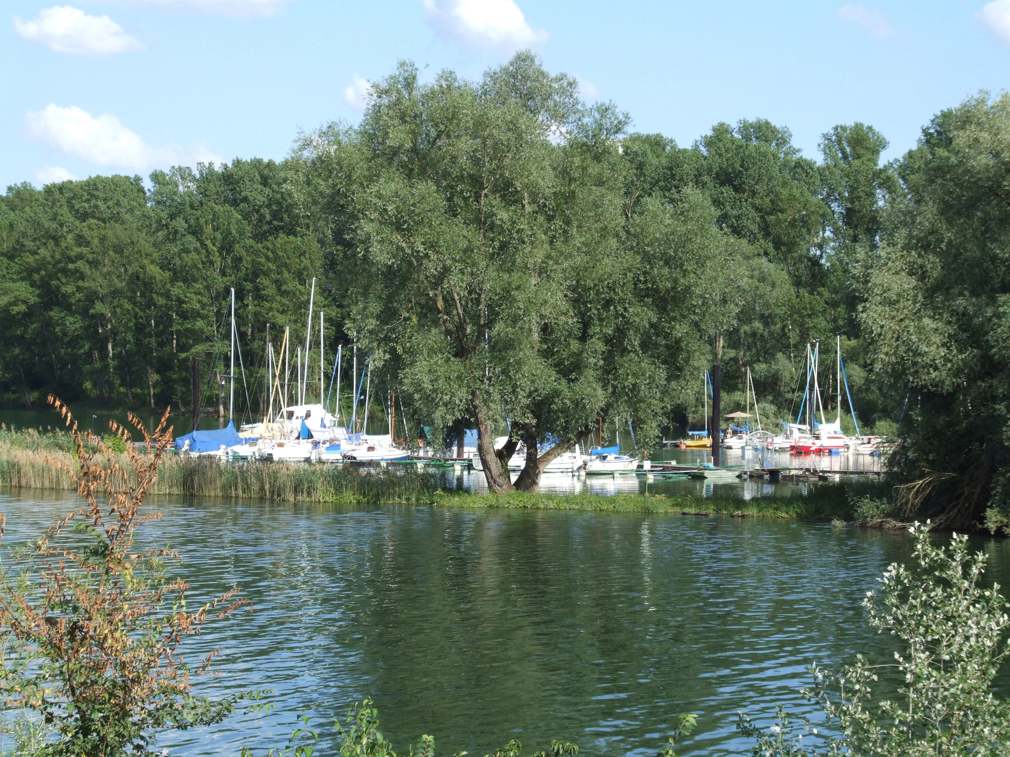 A view across a calm river channel towards a tree-lined bank with numerous small sailboats and powerboats moored at a dock.