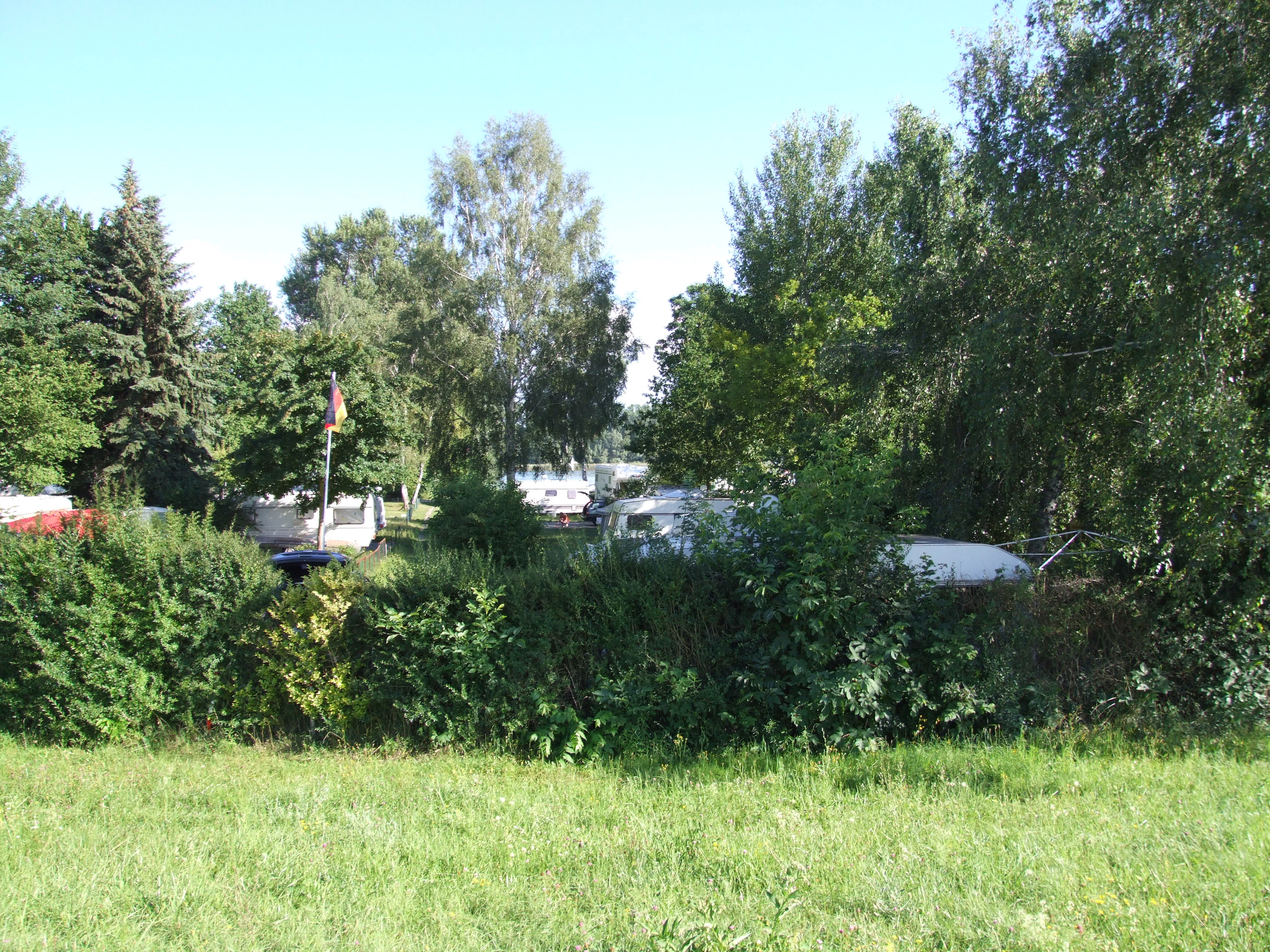 A sunny, eye-level outdoor shot showing a grassy meadow in the foreground, with trailers and camping equipment tucked partially behind a line of dense green trees and bushes.