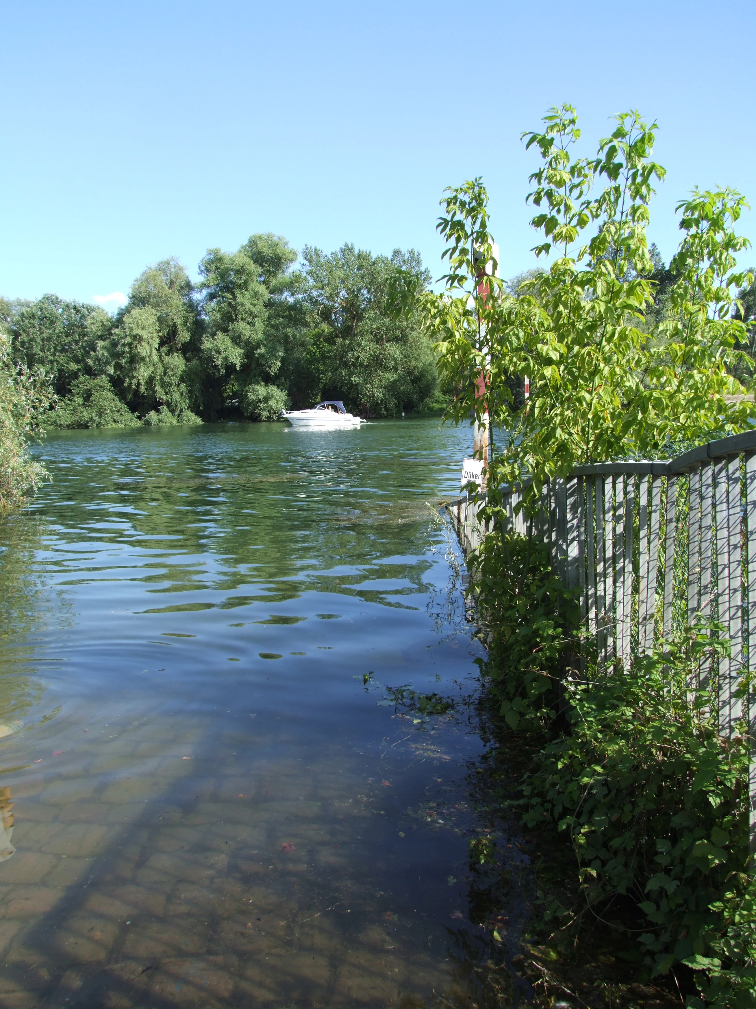 A view of the Angelhofer Altrhein water branch in Germany, looking out from a paved boat ramp near a metal fence with trees and shrubs on the bank.