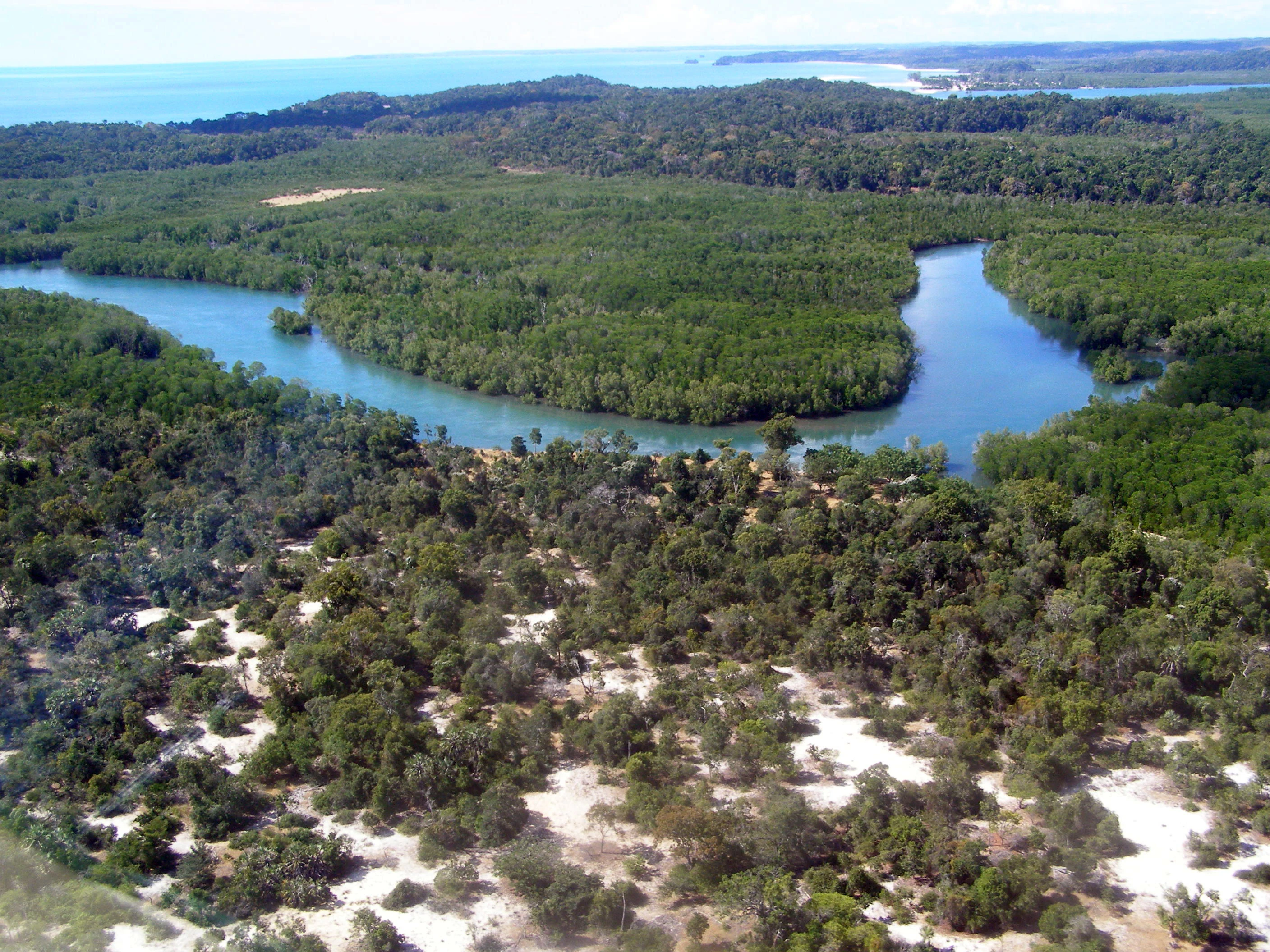 An aerial view of a forested region in Madagascar, showing a winding blue river cutting through dense green vegetation, with sandy patches visible in the foreground and the ocean on the horizon.