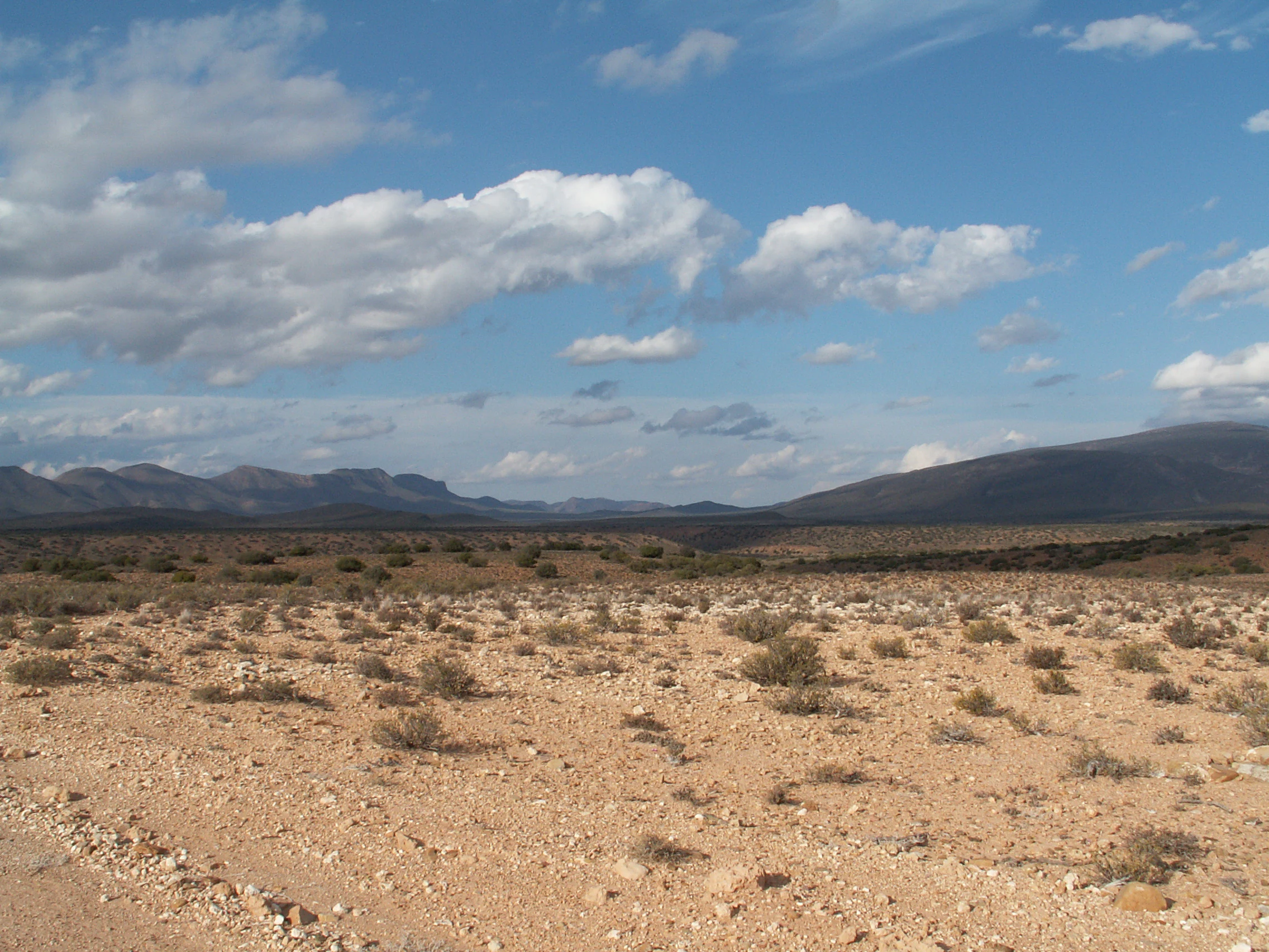 Wide angle shot of a dry, rocky desert landscape with sparse, low-lying scrub bushes under a partly cloudy blue sky, with mountain ridges in the distance.