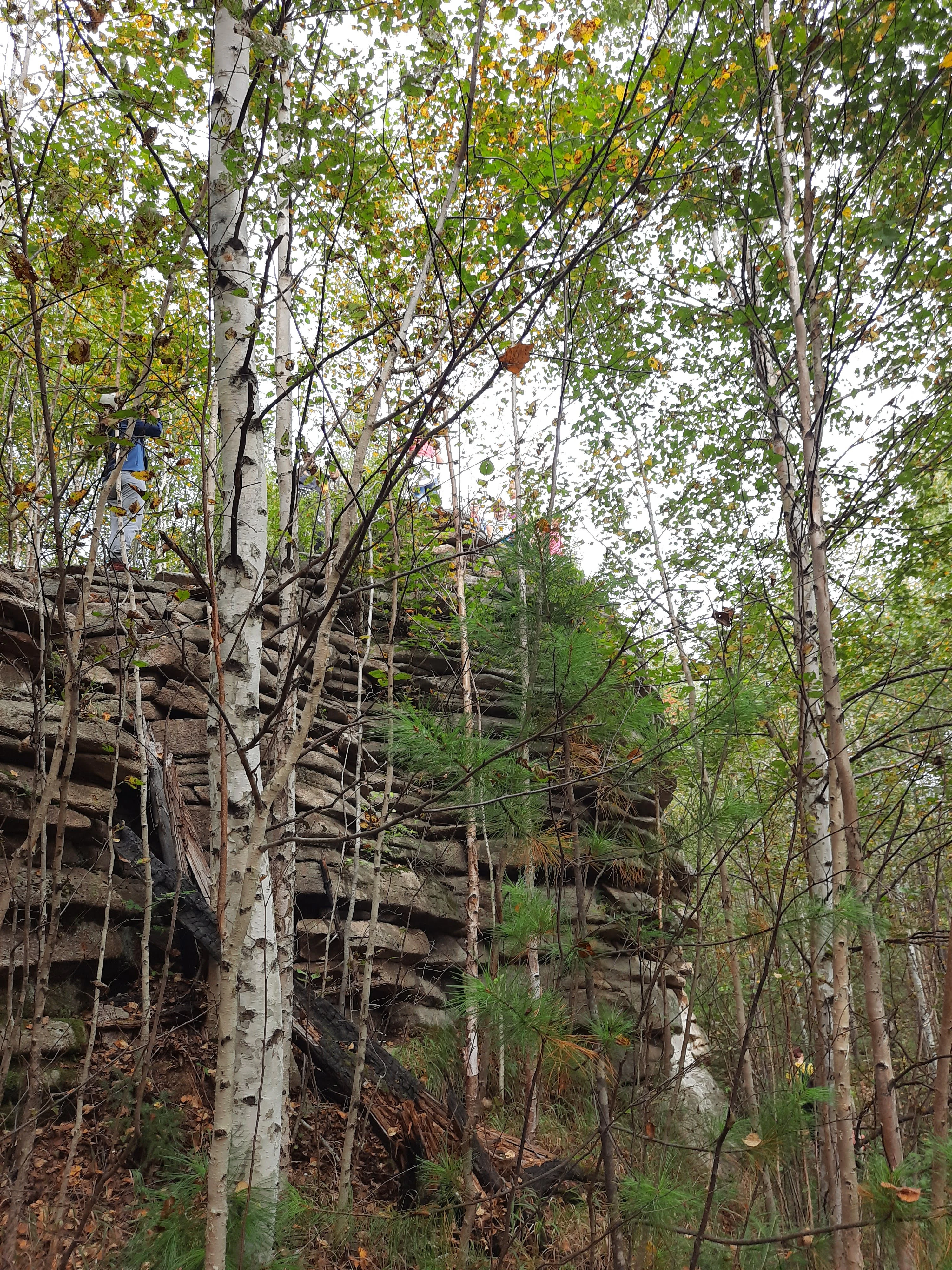 A towering, layered rock cliff face known as Nagde Rocks rises behind a foreground of slender white-barked birch trees in a forest.