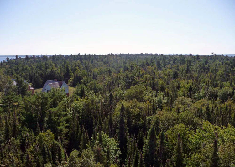 Wide landscape view of dense green forest covering rolling hills on an island, with a building visible on the left side and a body of water at the horizon under a clear blue sky.