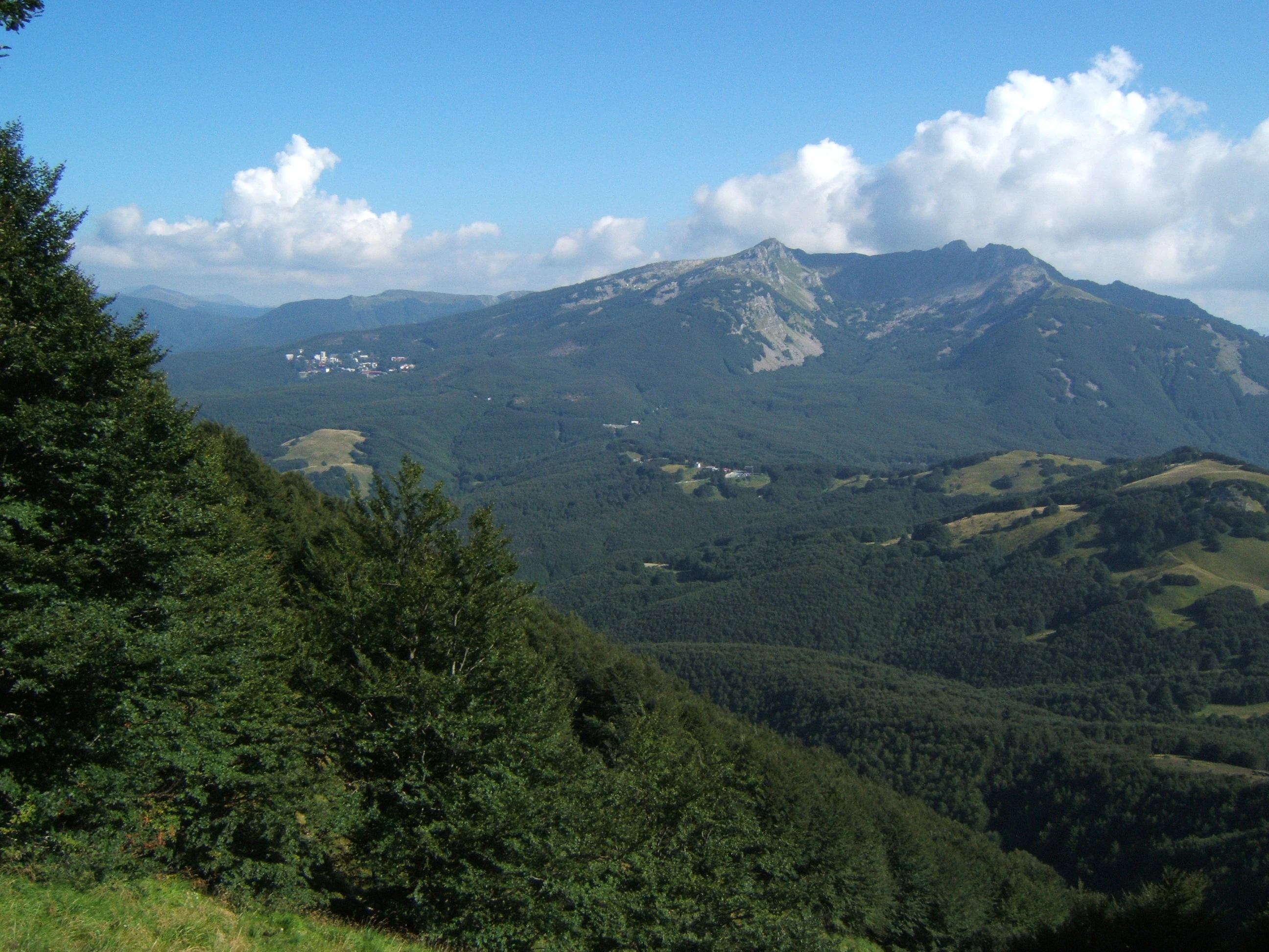 Lush green forests in the foreground with rolling mountain ranges extending into the distance under a blue sky with scattered clouds