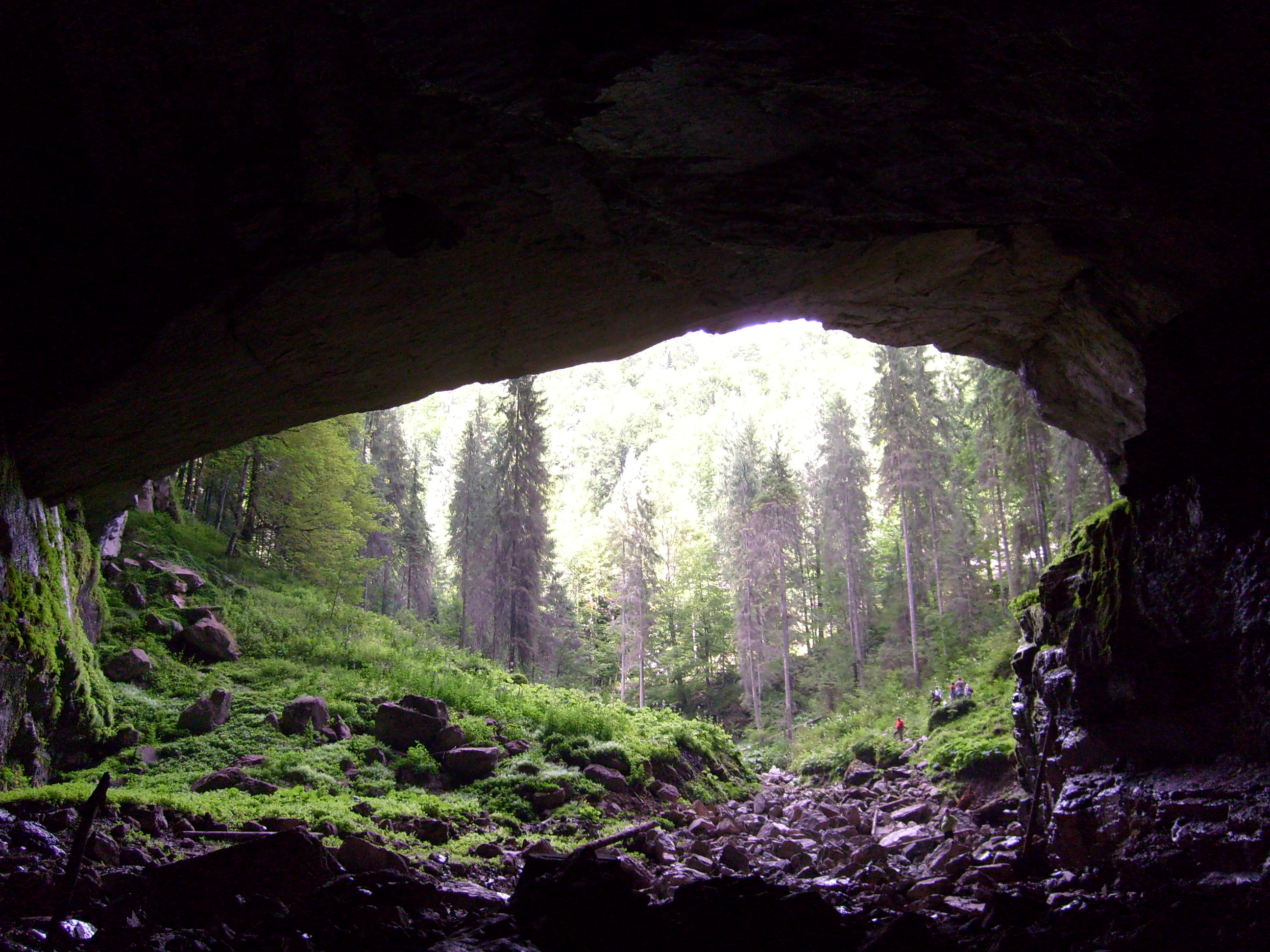 Dark cave entrance with rocky walls and moss leading to a sunlit forest with tall trees and green vegetation