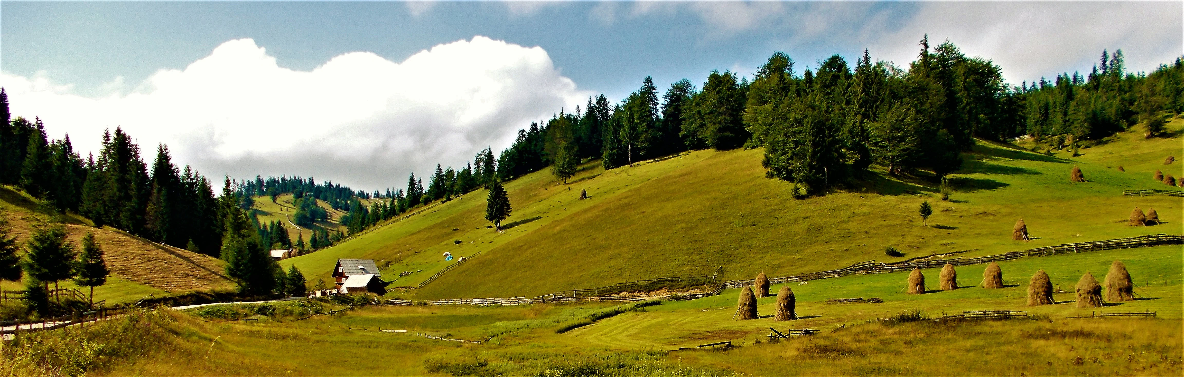 Panoramic landscape of green rolling hills with scattered hay bales, a small building, forested slopes, and mountains in the background under a partly cloudy sky