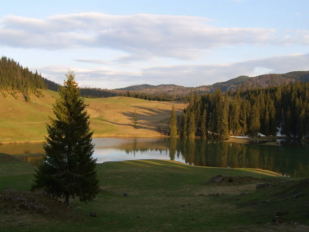 A serene lake surrounded by grassy hills and coniferous forests under a partly cloudy sky.