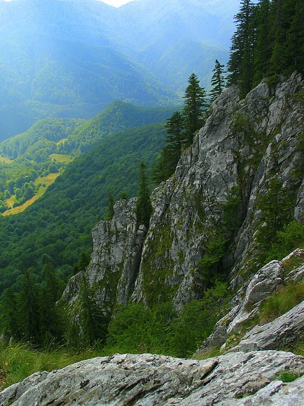 Rocky cliff with dense forest and mountain valleys under a clear sky