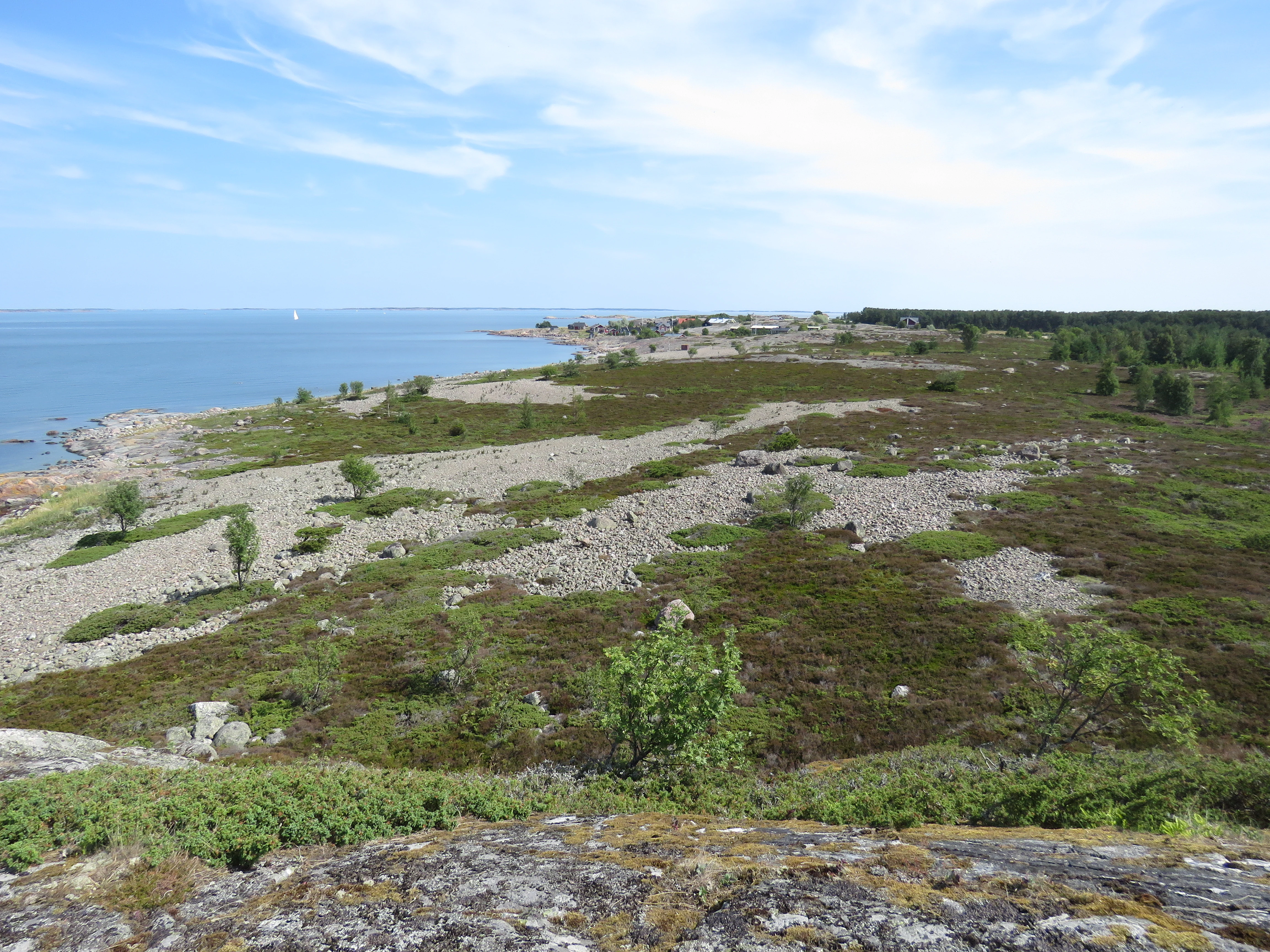 A scenic view from an elevated position showing a rocky and vegetated coastal landscape with patches of heath, scattered trees, and a body of water under a partly cloudy sky