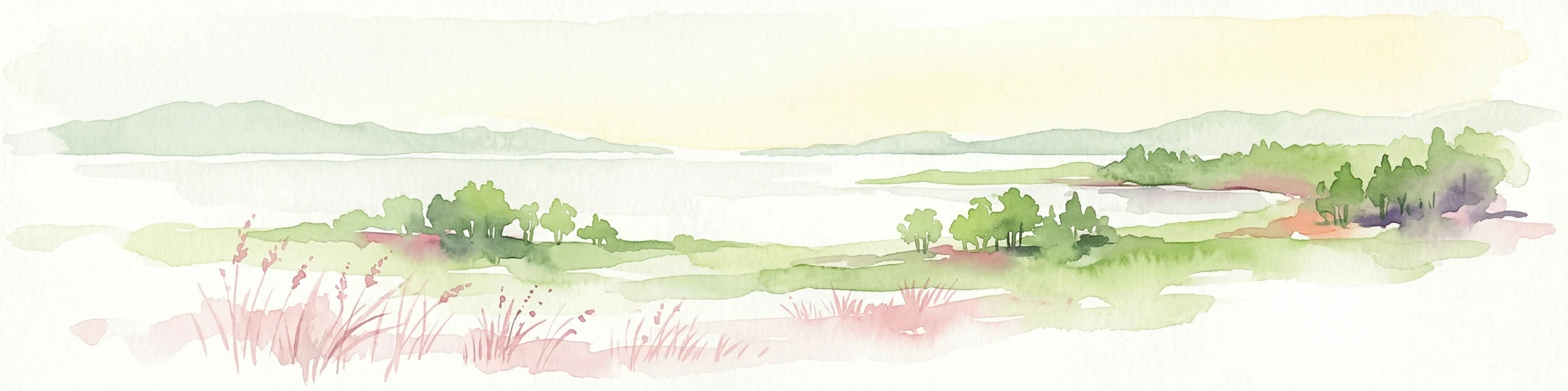 Ilustración en acuarela que muestra un paisaje costero con pequeñas islas, vegetación verde y agua tranquila