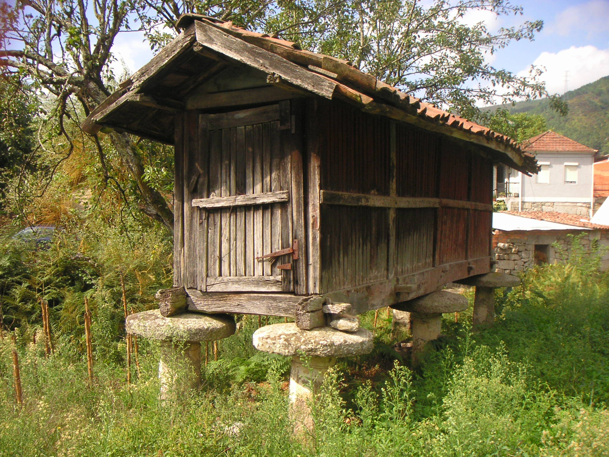A weathered wooden granary, or horreo, raised on stone pillars in a grassy area with trees and a building in the background.