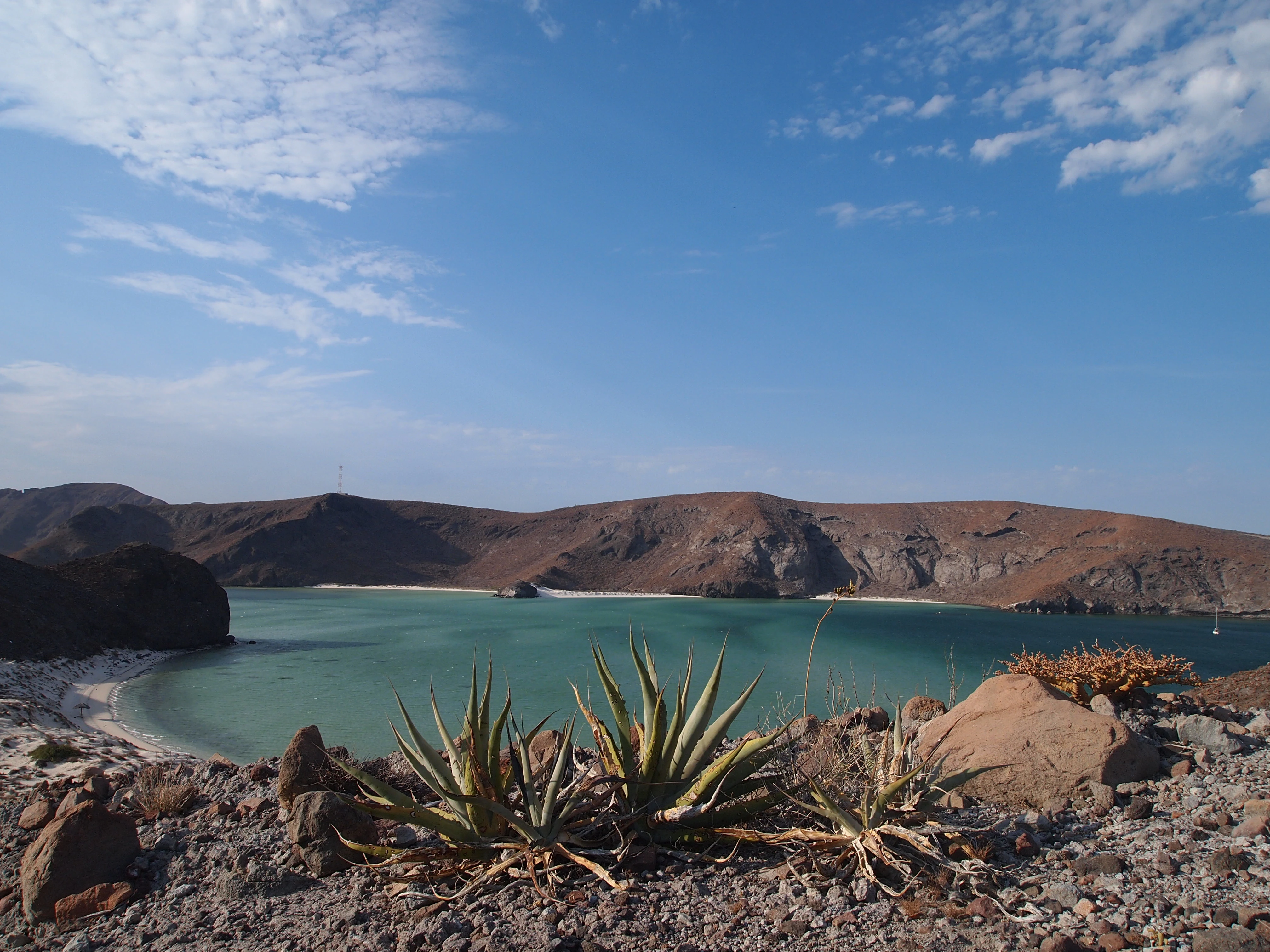 A wide angle view of a turquoise lagoon surrounded by rocky, barren hills under a clear blue sky, with agave plants in the foreground.
