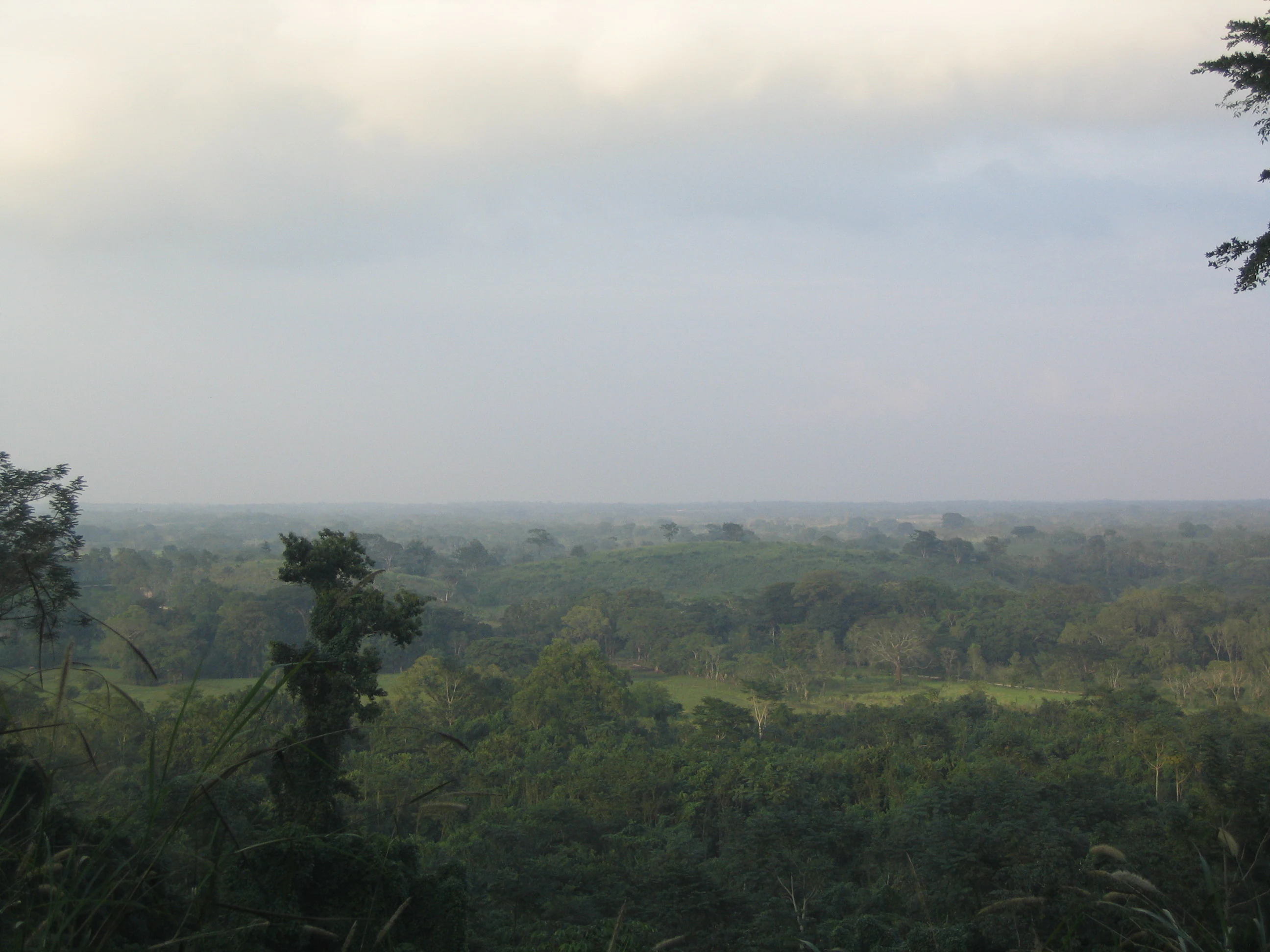 A wide, hazy landscape view of a vast, forested canopy in the Lacandon Jungle under an overcast sky.