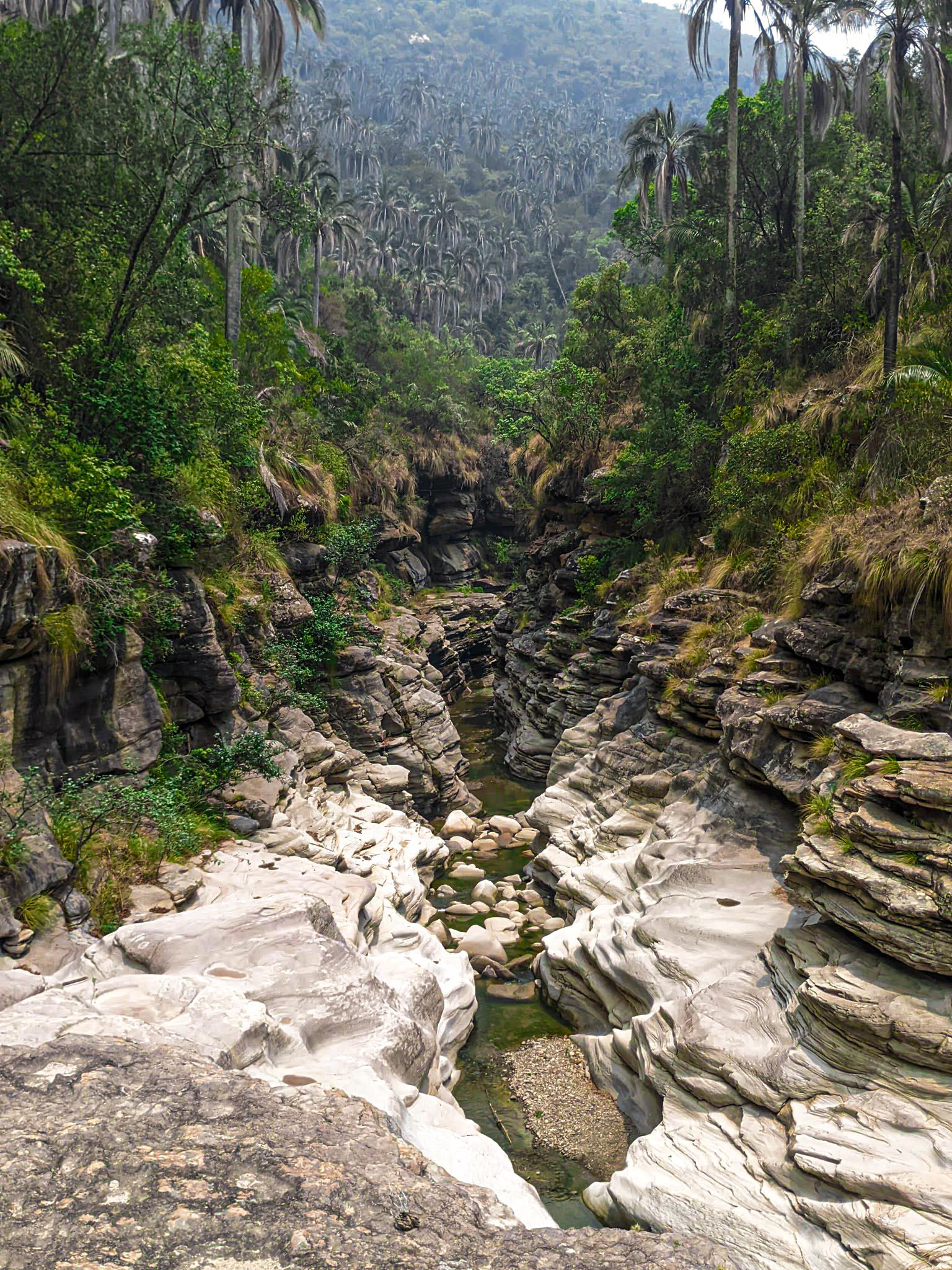 A deep rocky canyon with layered stone formations and a small stream at the bottom, surrounded by lush green hillsides covered in tall, thin palm trees.
