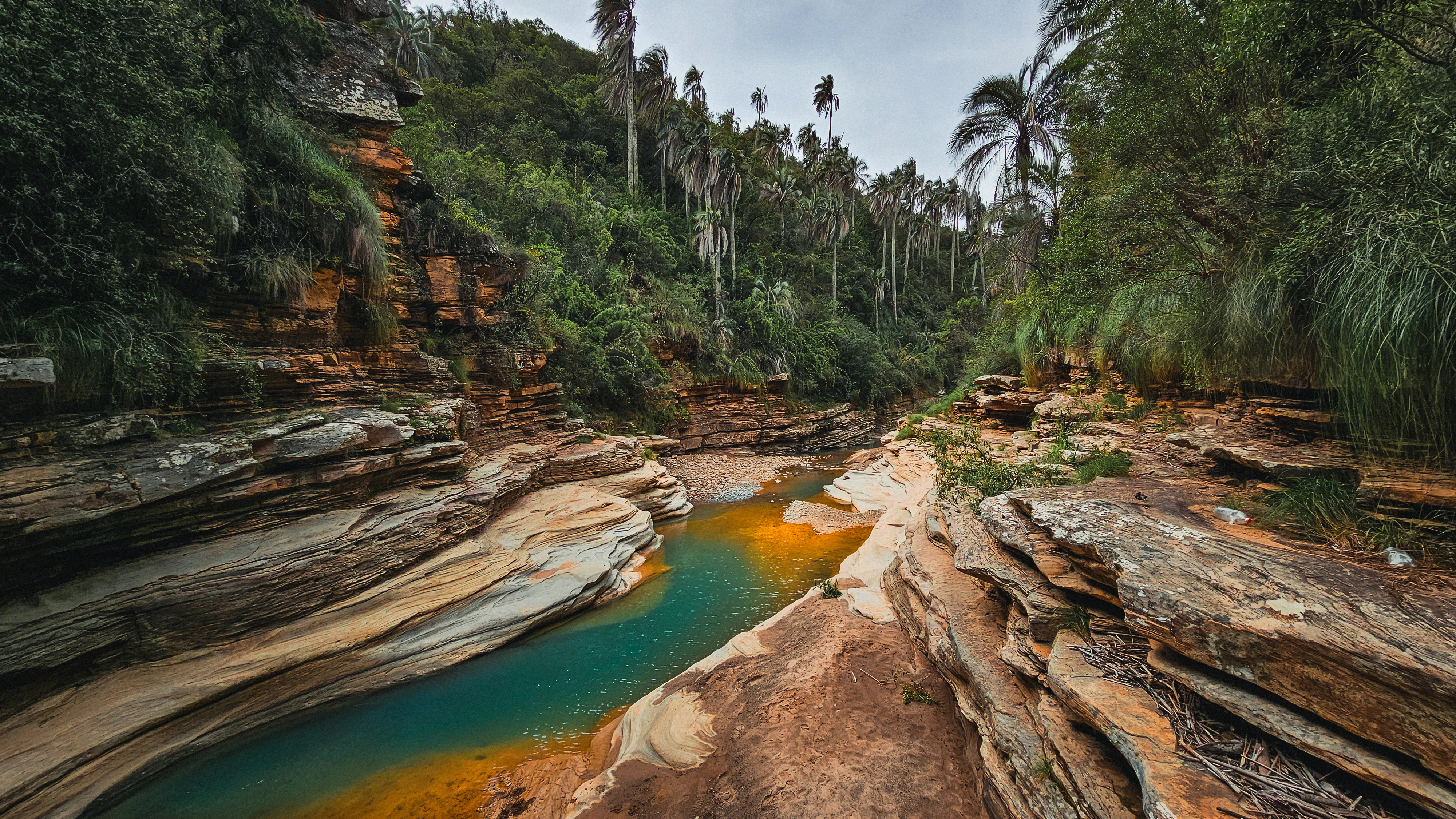 A narrow canyon with layered rock walls and a turquoise stream flowing through the center, surrounded by tall palm trees and dense vegetation.