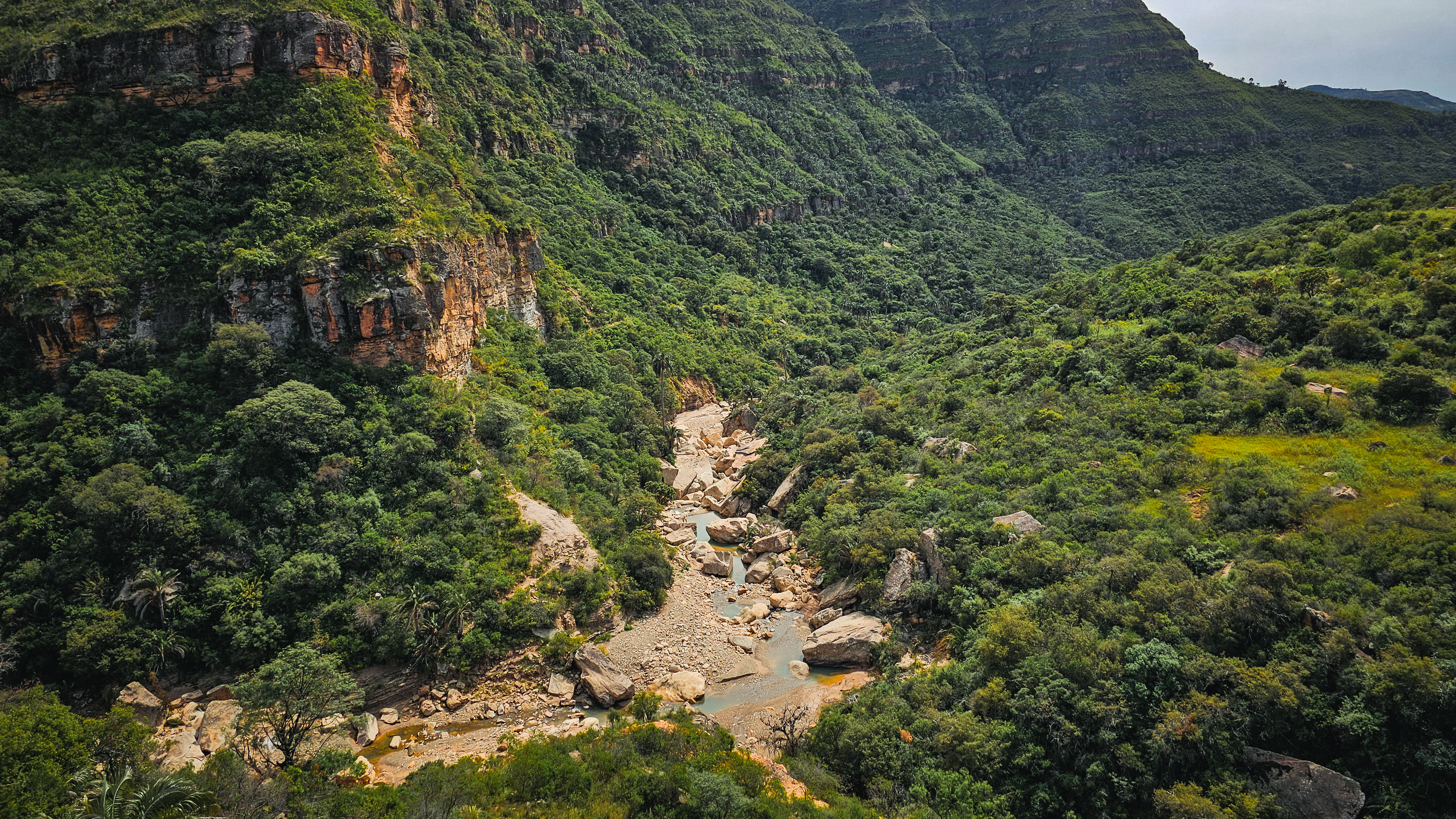 An elevated view of Mision Canyon, showing a rocky stream bed winding through dense green forest and steep, cliff-lined valley walls.