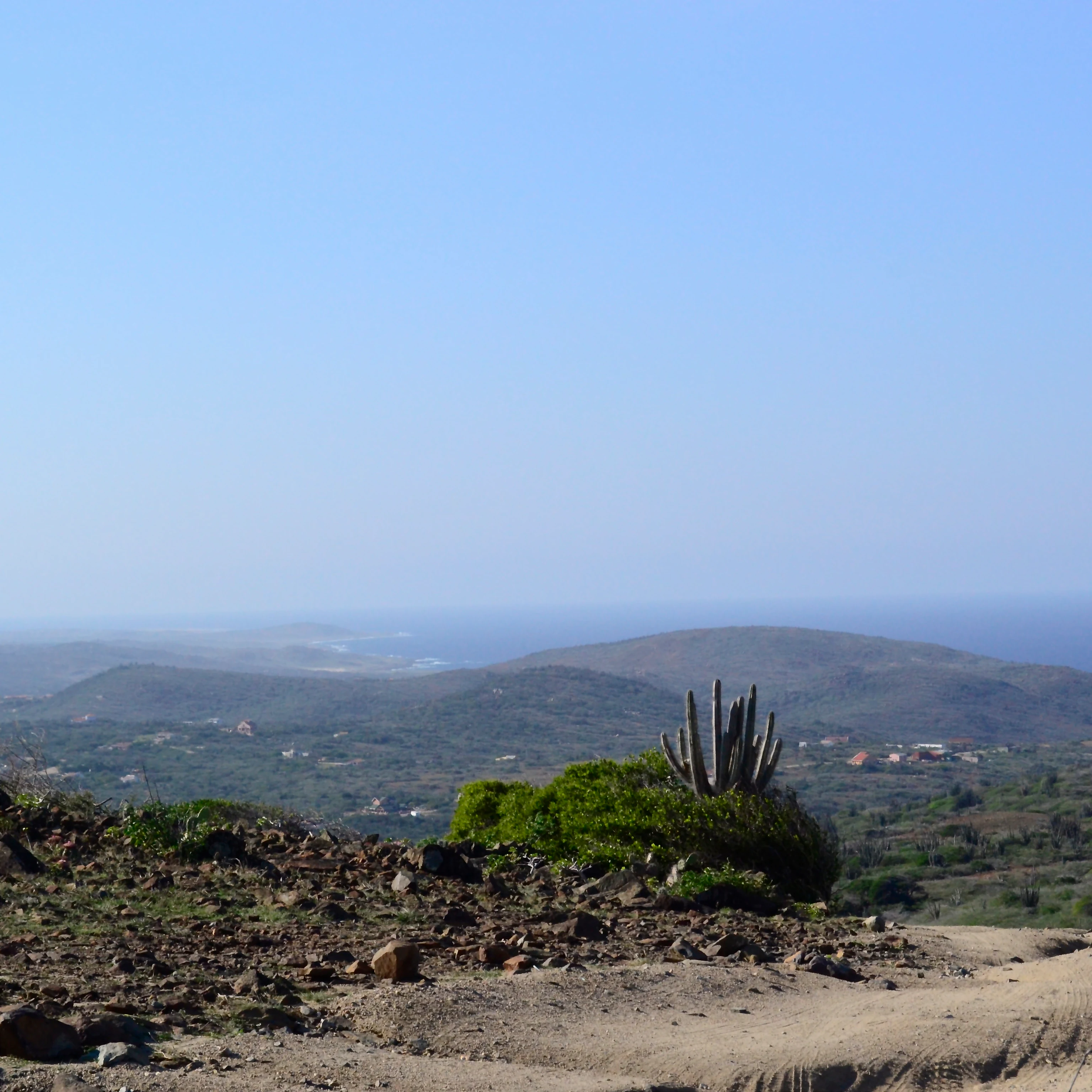 A wide, high-angle view of a desert-like landscape with rolling hills, sparse vegetation, a few scattered cacti, and the distant ocean under a clear sky.