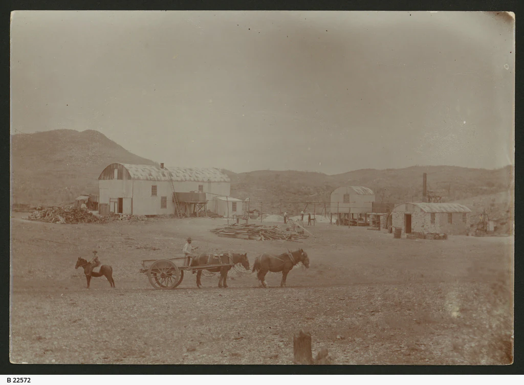 Black and white historical photograph showing several small wooden and corrugated iron structures in a dry, sparse landscape with horses and a cart in the foreground.