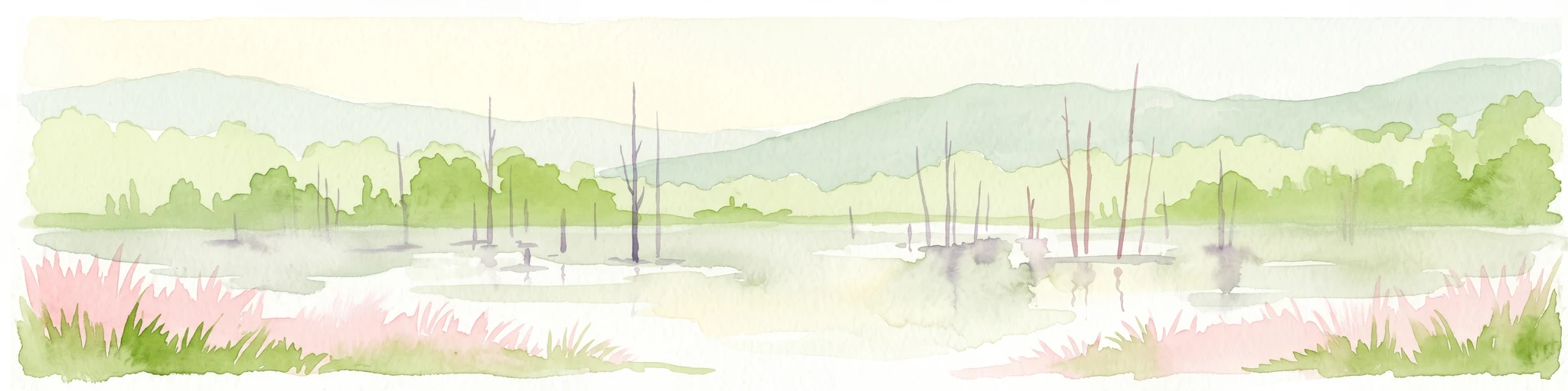 A watercolor painting depicting a calm wetland landscape with thin, bare tree trunks rising from the water, backed by soft green rolling hills and lush vegetation.