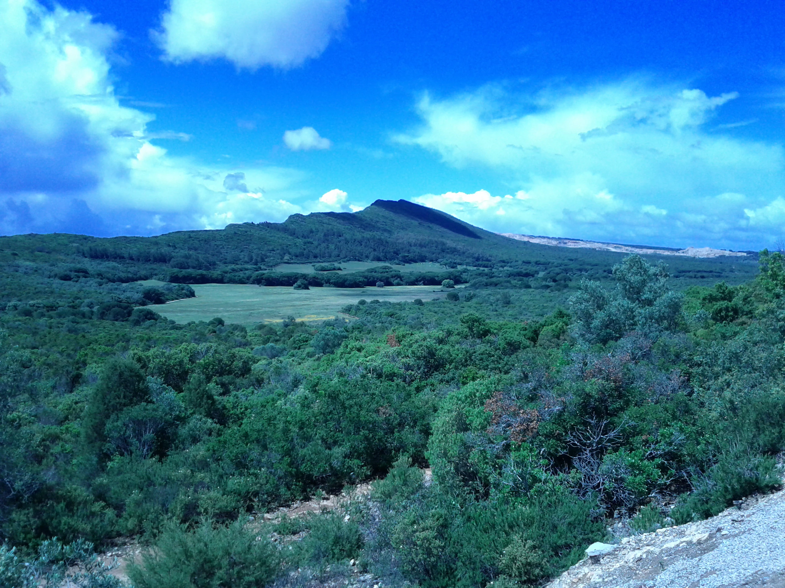 Lush green forested hills and mountains under bright blue sky with scattered clouds, a valley in midground, and rocky path in foreground