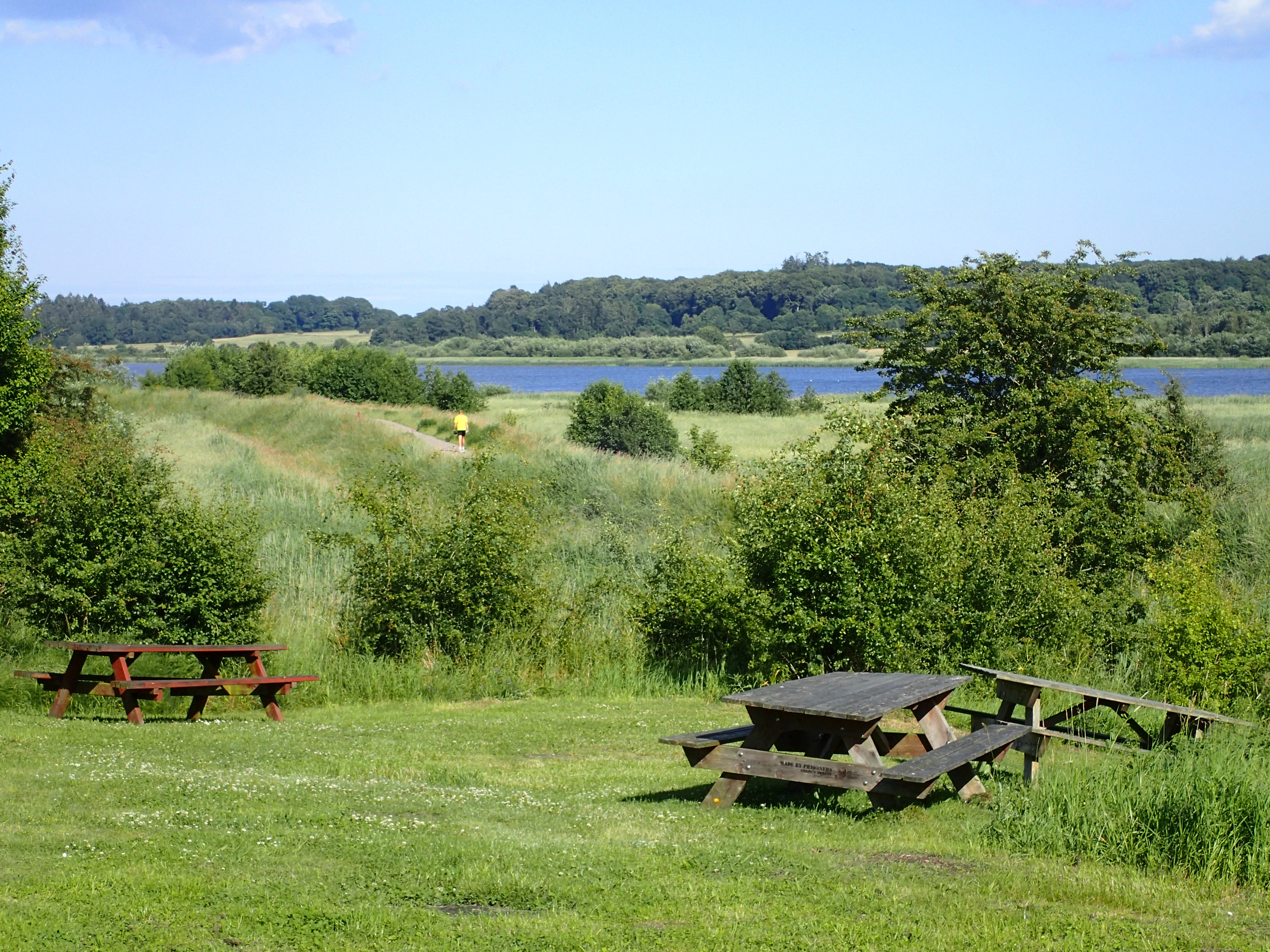Dos mesas de picnic de madera se encuentran en una colina cubierta de hierba con vistas a un prado y a un lago azul en la distancia bajo un cielo despejado.