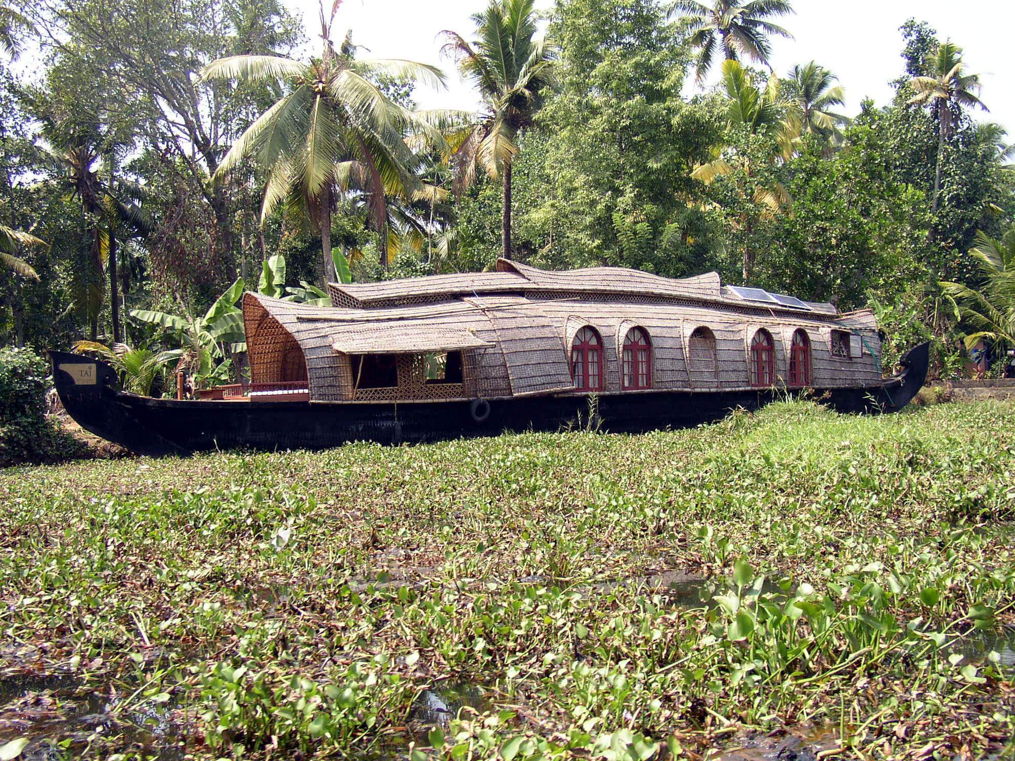 A long, traditional houseboat with a thatched roof floating in a narrow canal filled with water hyacinths, framed by palm trees.