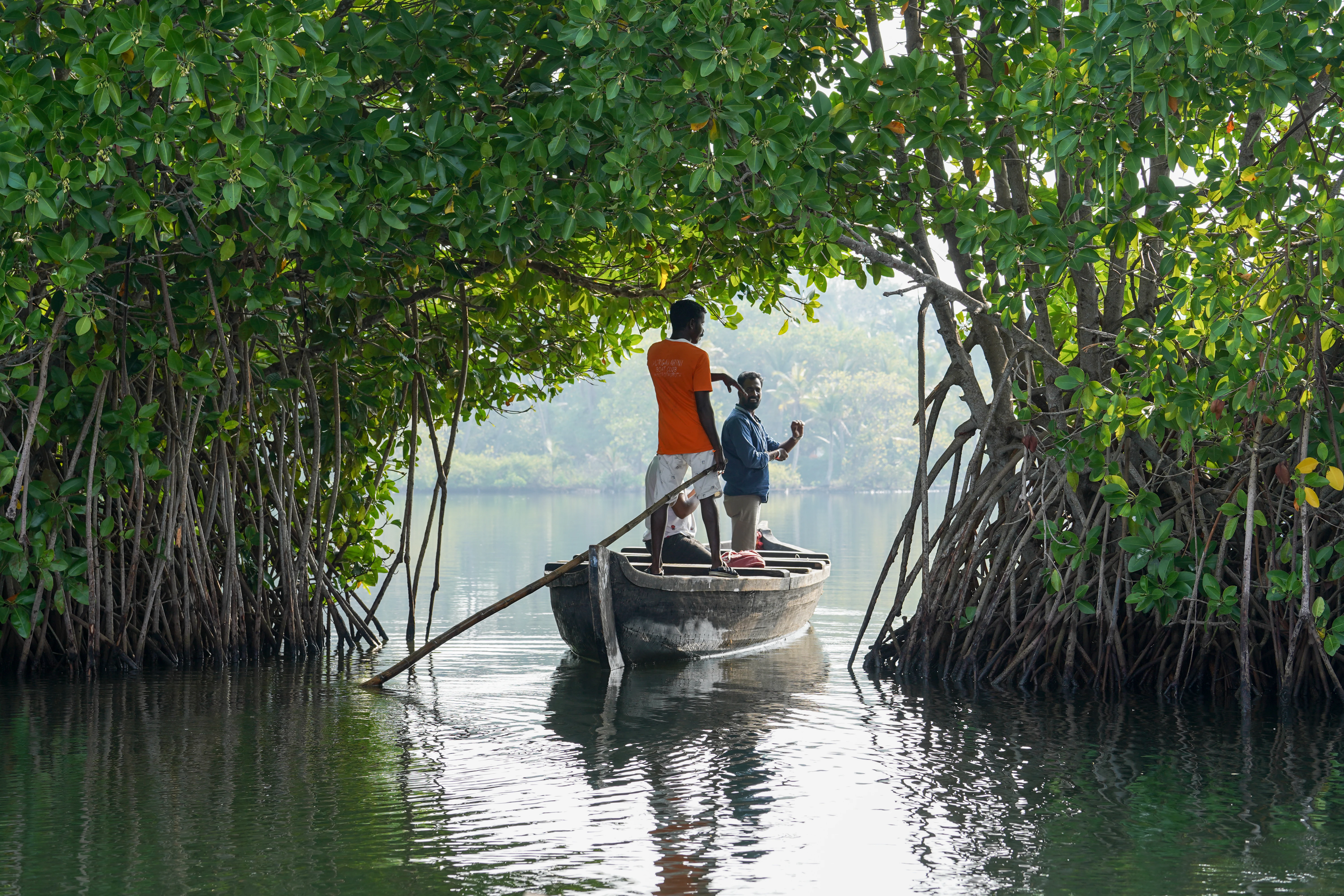 Two men standing in a wooden rowboat passing through a natural arch formed by overhanging mangrove tree branches on the calm waters of Ashtamudi Lake.