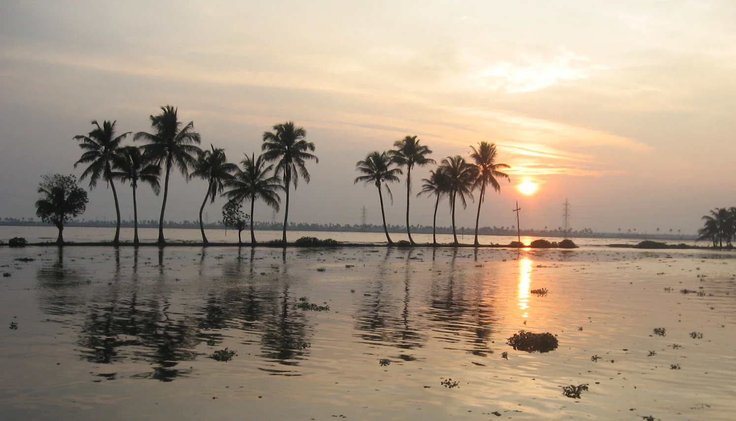 A peaceful sunset view of Ashtamudi Lake in Kerala with a line of palm trees silhouetted against a golden sky and reflected in the calm water.