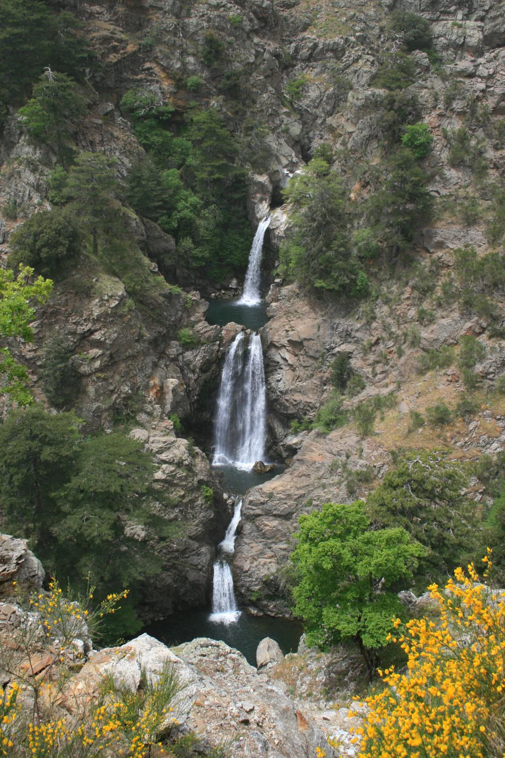 Multi-tiered waterfall flowing over rocky cliffs with surrounding green trees and yellow flowering plants.