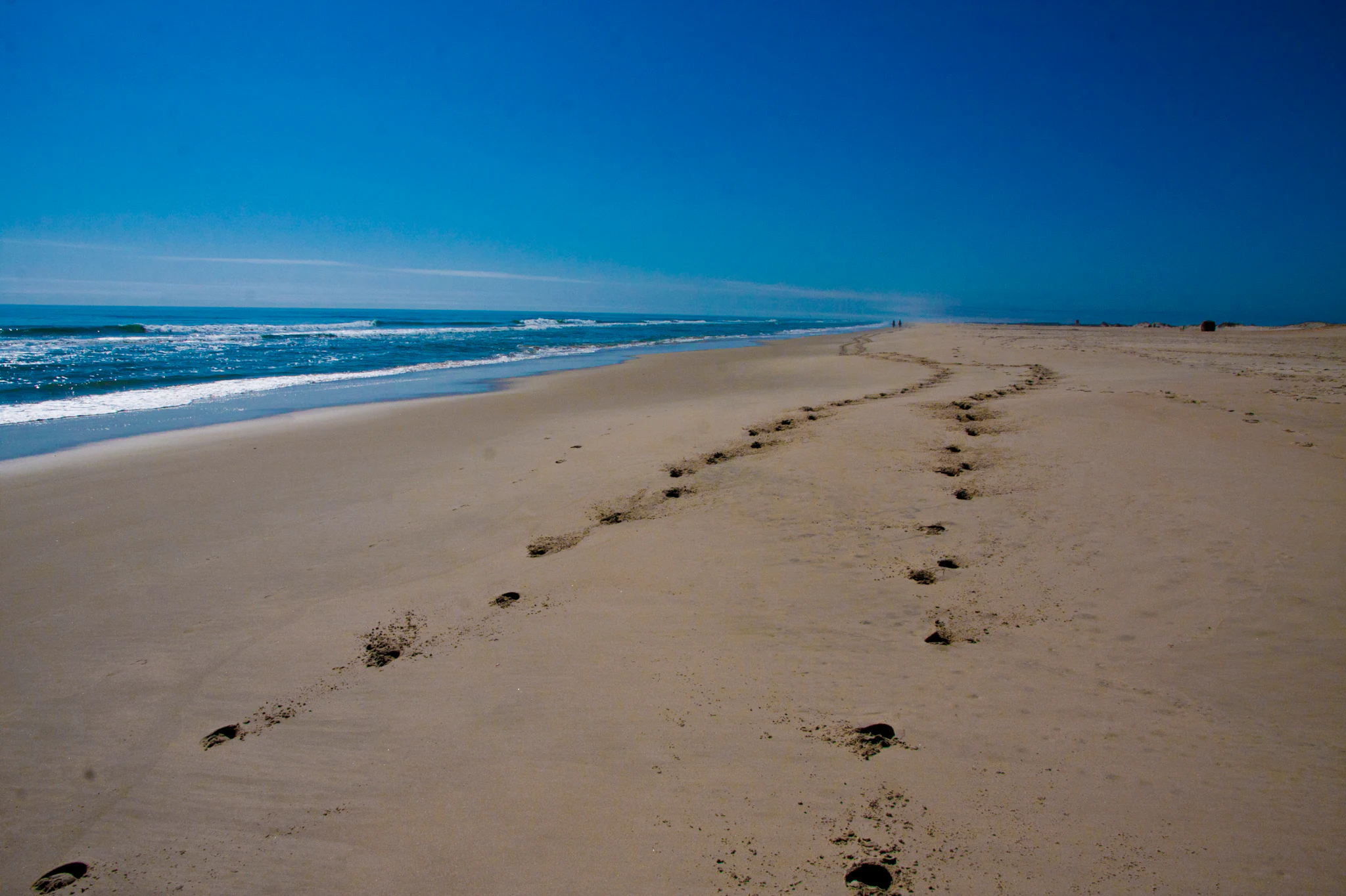 A wide view of a sandy beach at Assateague Island, with footprints in the sand leading towards the horizon and the Atlantic Ocean waves on the left.