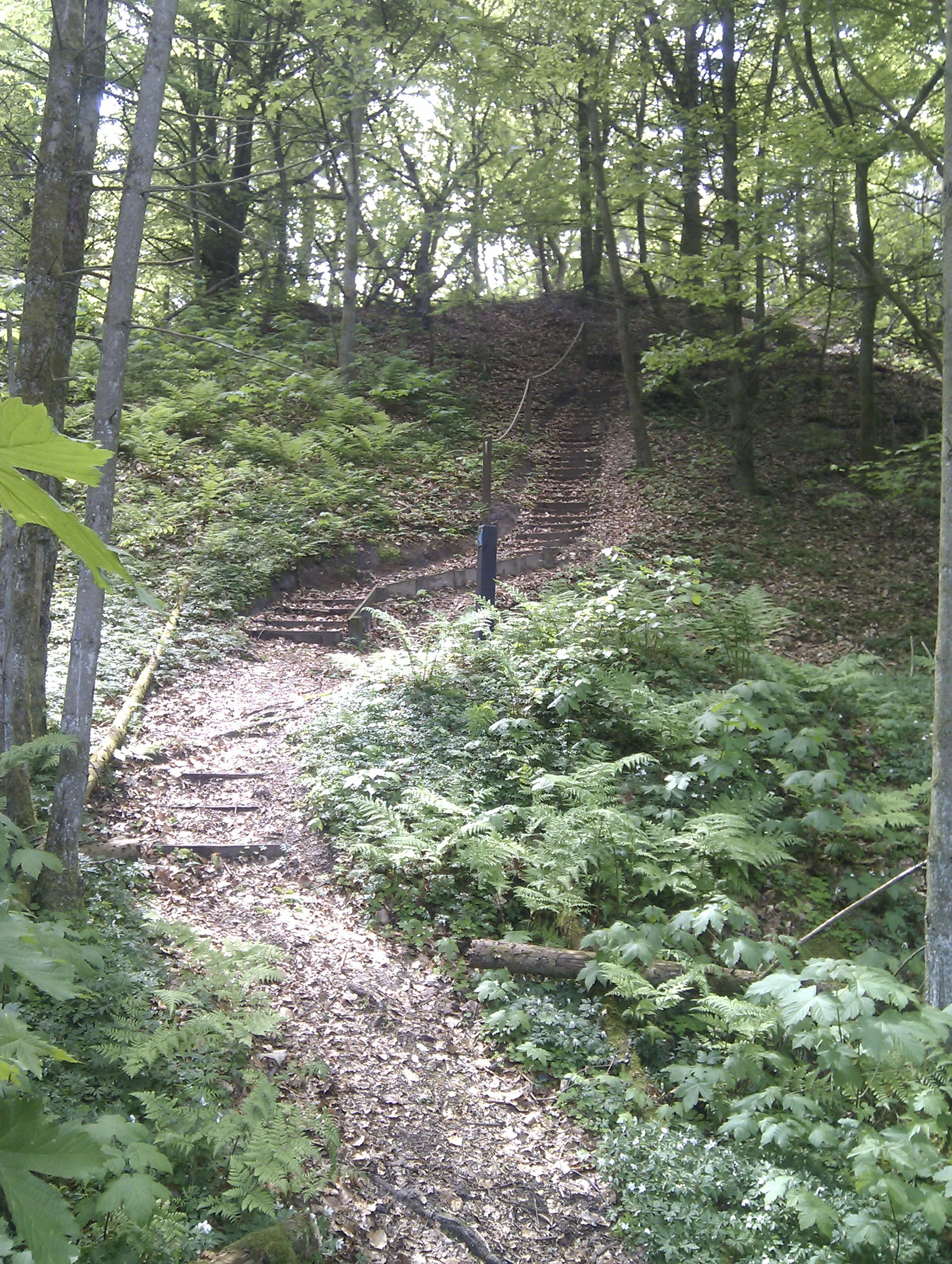 Blue trail stairs in Aasted Aadal