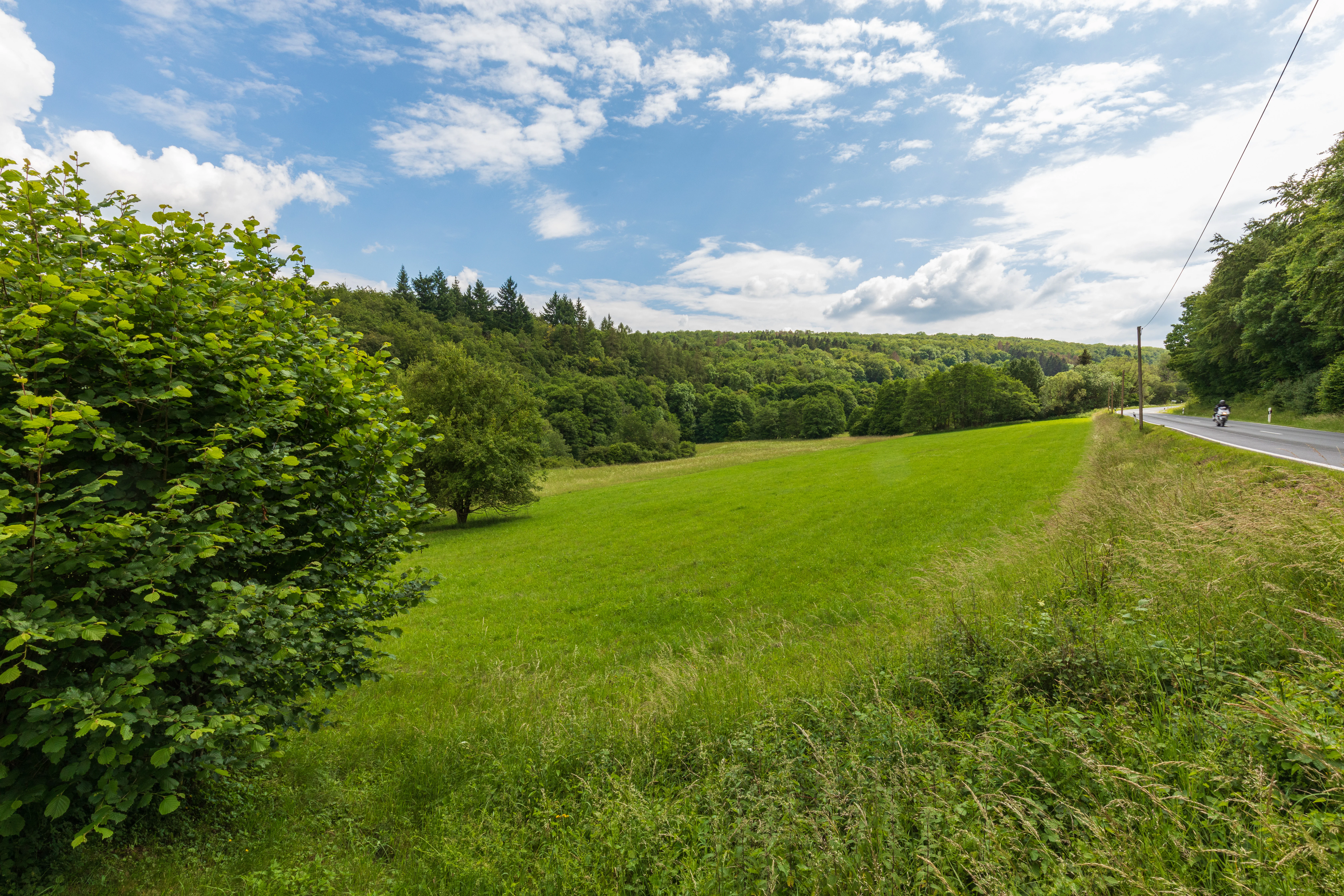 A green meadow landscape under a blue sky with white clouds, bordered by dense deciduous forests and an adjacent road.