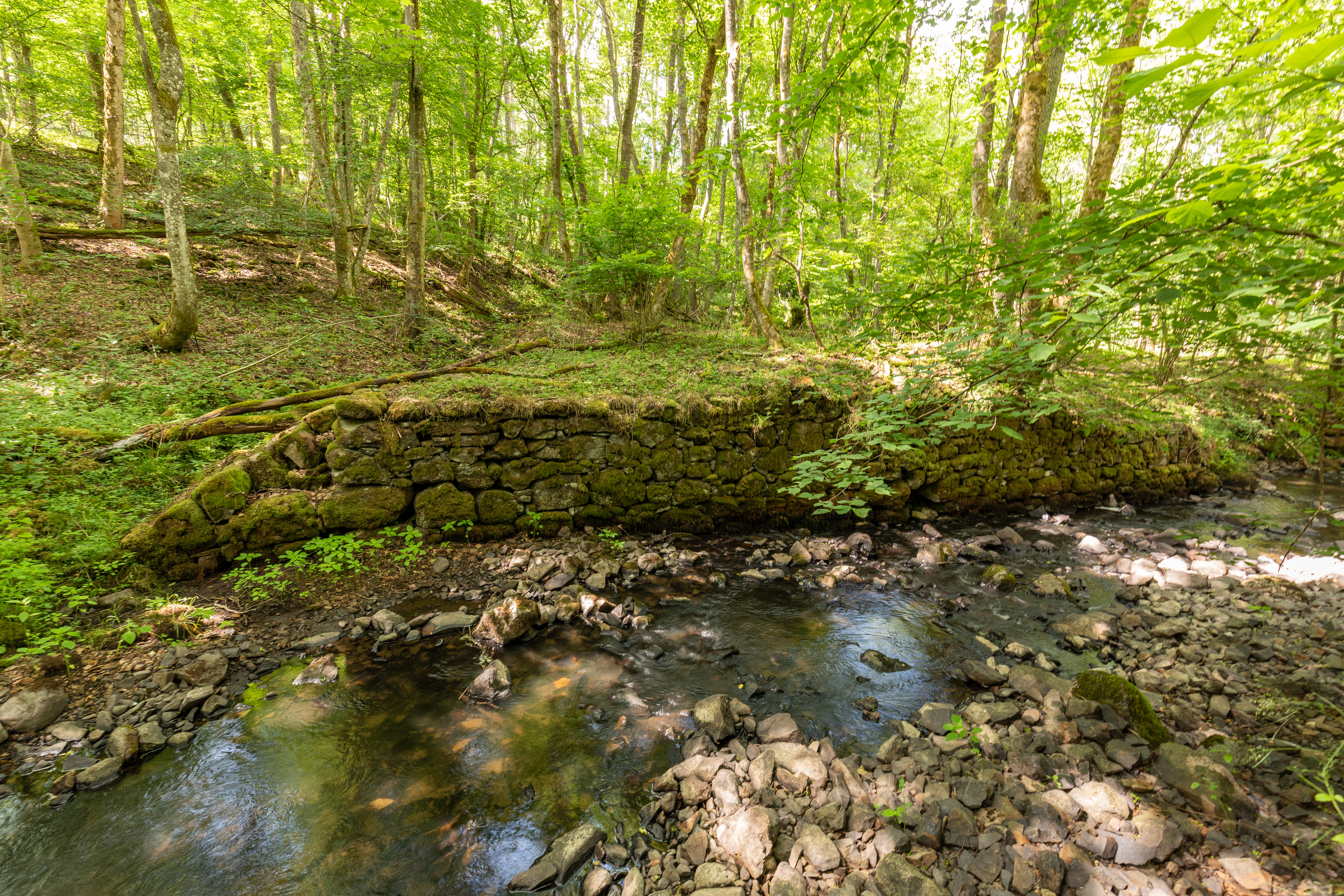 A small, shallow forest stream flows past a mossy, historic-looking stone retaining wall, set within a lush, deciduous green forest.