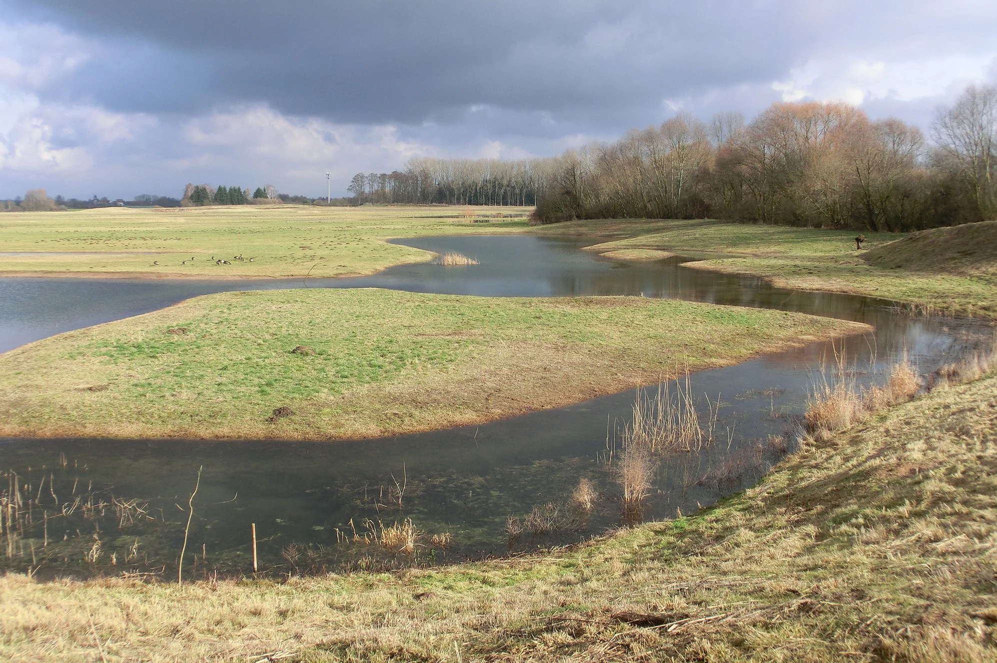 A wide view of the Auf dem Sand nature reserve featuring flooded green meadows, winding water channels, and trees under a cloudy sky.