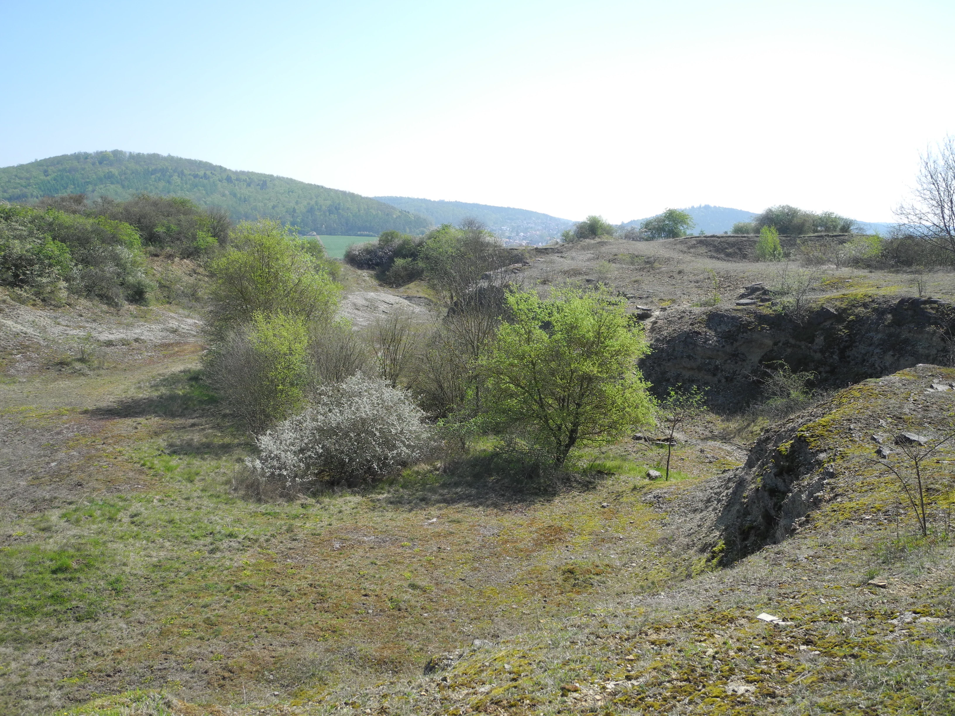 A slightly elevated view of a natural landscape with sparse green vegetation, scattered bushes, rocky patches, and forested rolling hills in the background.