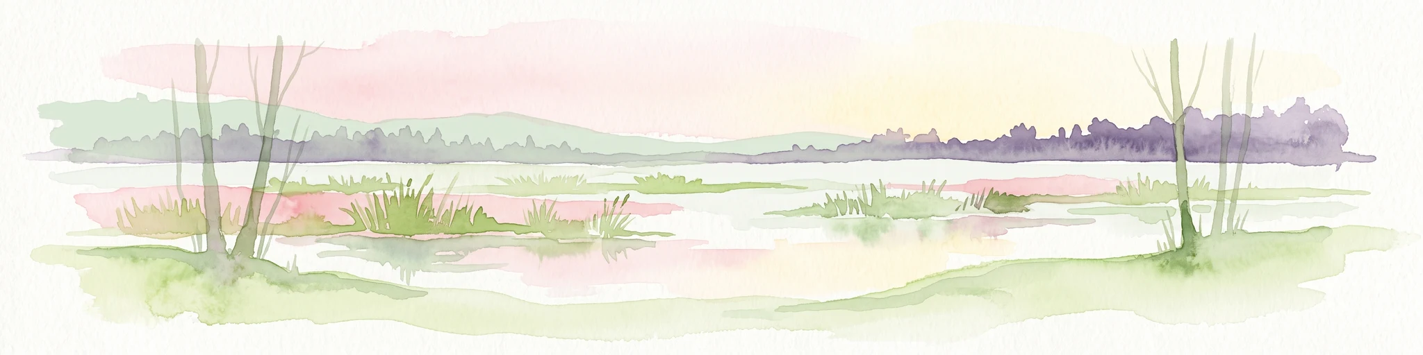A horizontal watercolor illustration of a wetland scene with soft pink and green tones, showing sparse trees on the banks of a shallow, marshy water area under a pale sky.