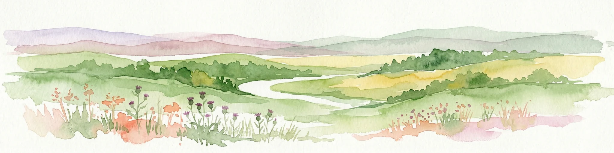 Representación en acuarela de un delta fluvial con campos verdes, un río sinuoso, flores silvestres y colinas a lo lejos