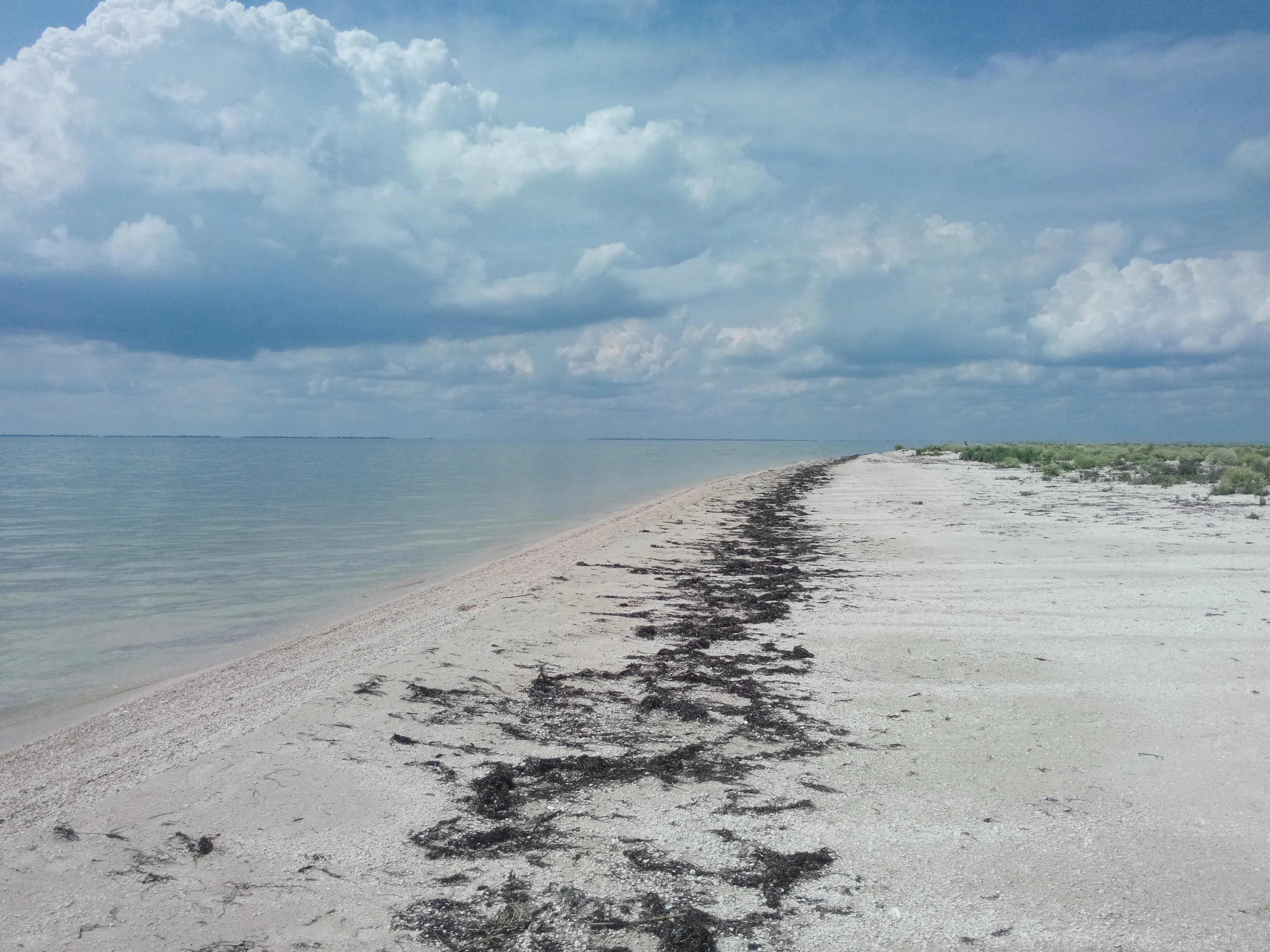 Sandy beach with seaweed patches extending into the calm sea under a partly cloudy sky