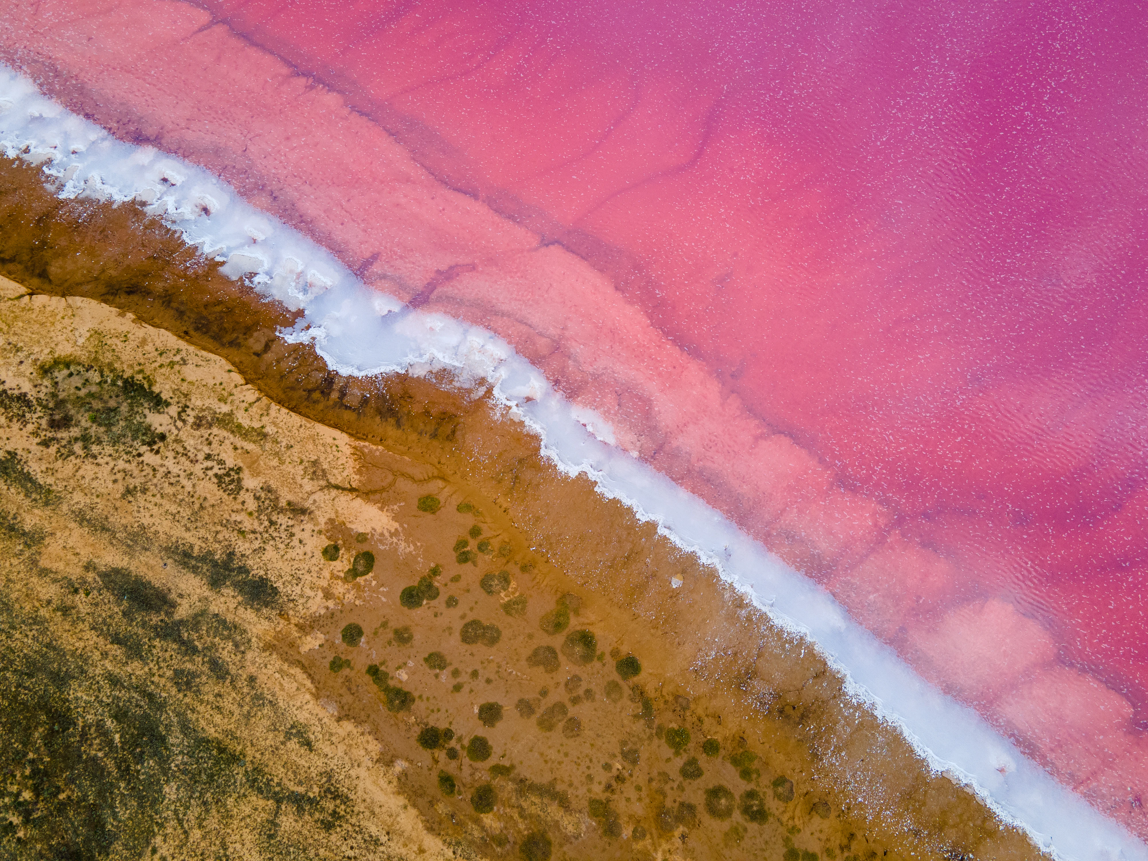 Aerial view of pink and white water bodies adjacent to a rocky shoreline with sparse vegetation