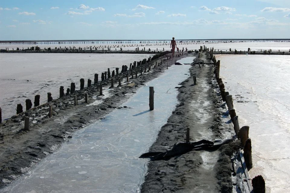 A narrow causeway with wooden posts stretches across salt flats under a clear blue sky, leading toward a distant person near the horizon
