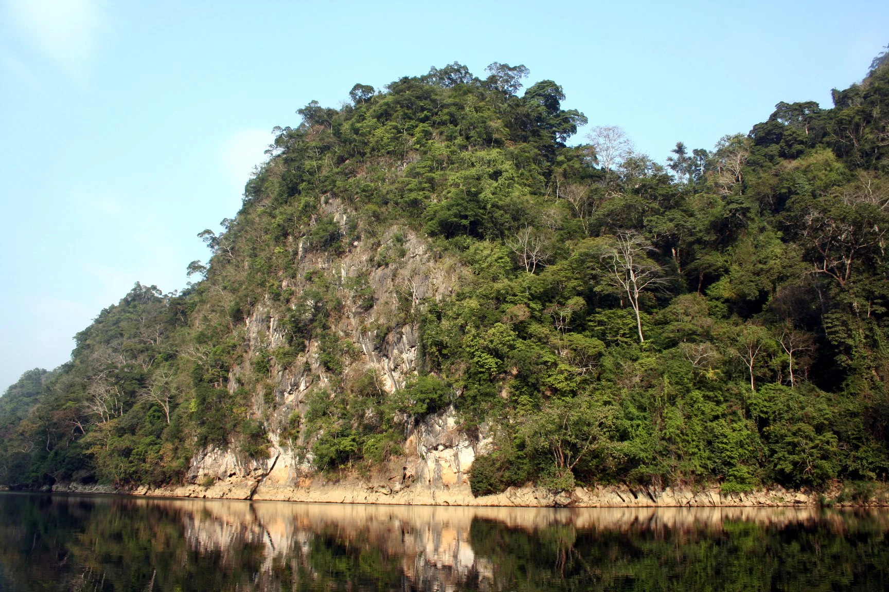 Karst cliffs with dense forest vegetation reflecting in calm lake waters