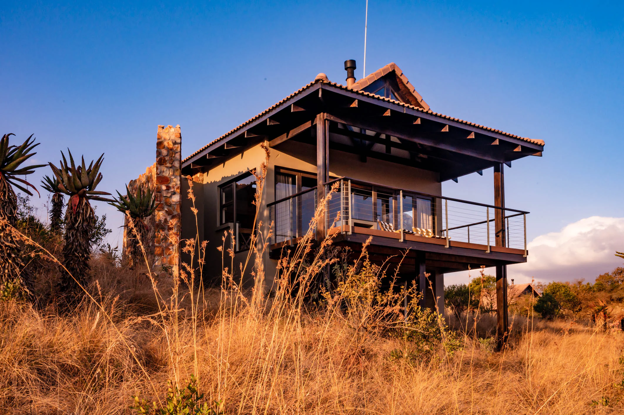 A safari lodge building with a stone chimney and elevated deck, surrounded by dry golden grass and succulent plants at sunset.